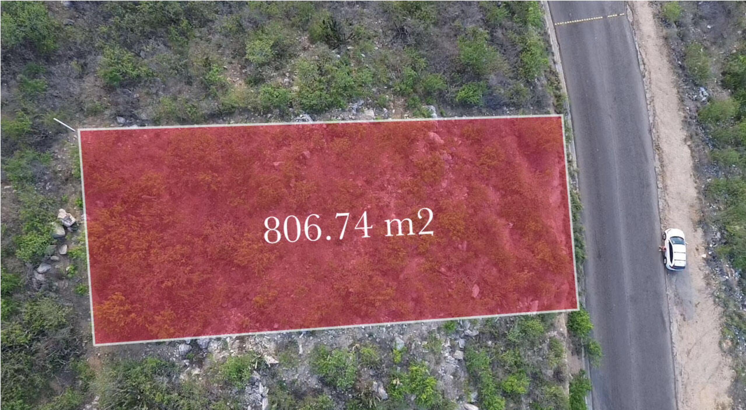 Lot 12 Baja Coral