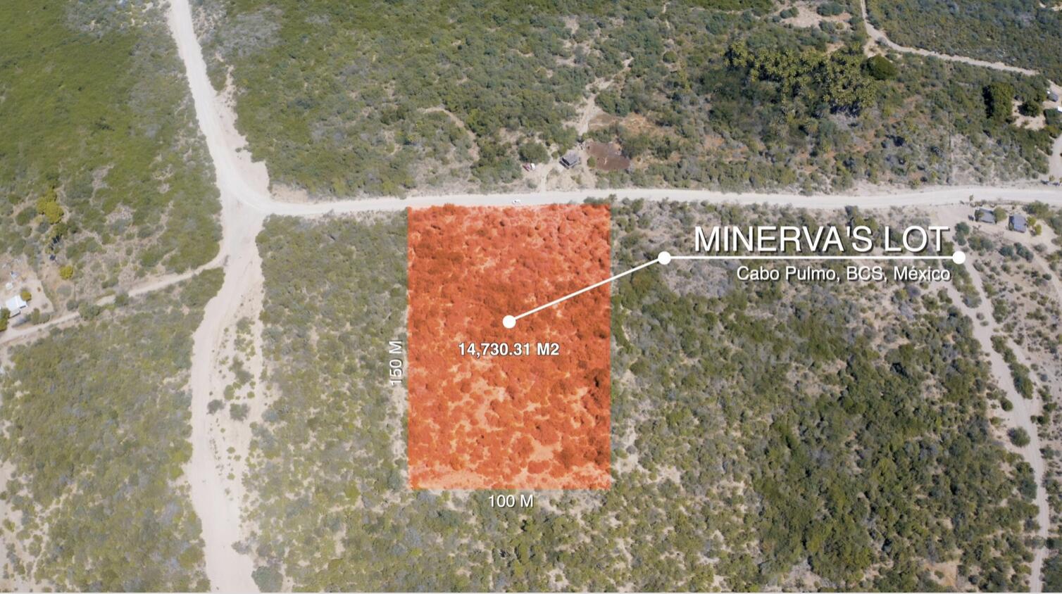 Minerva's Lot