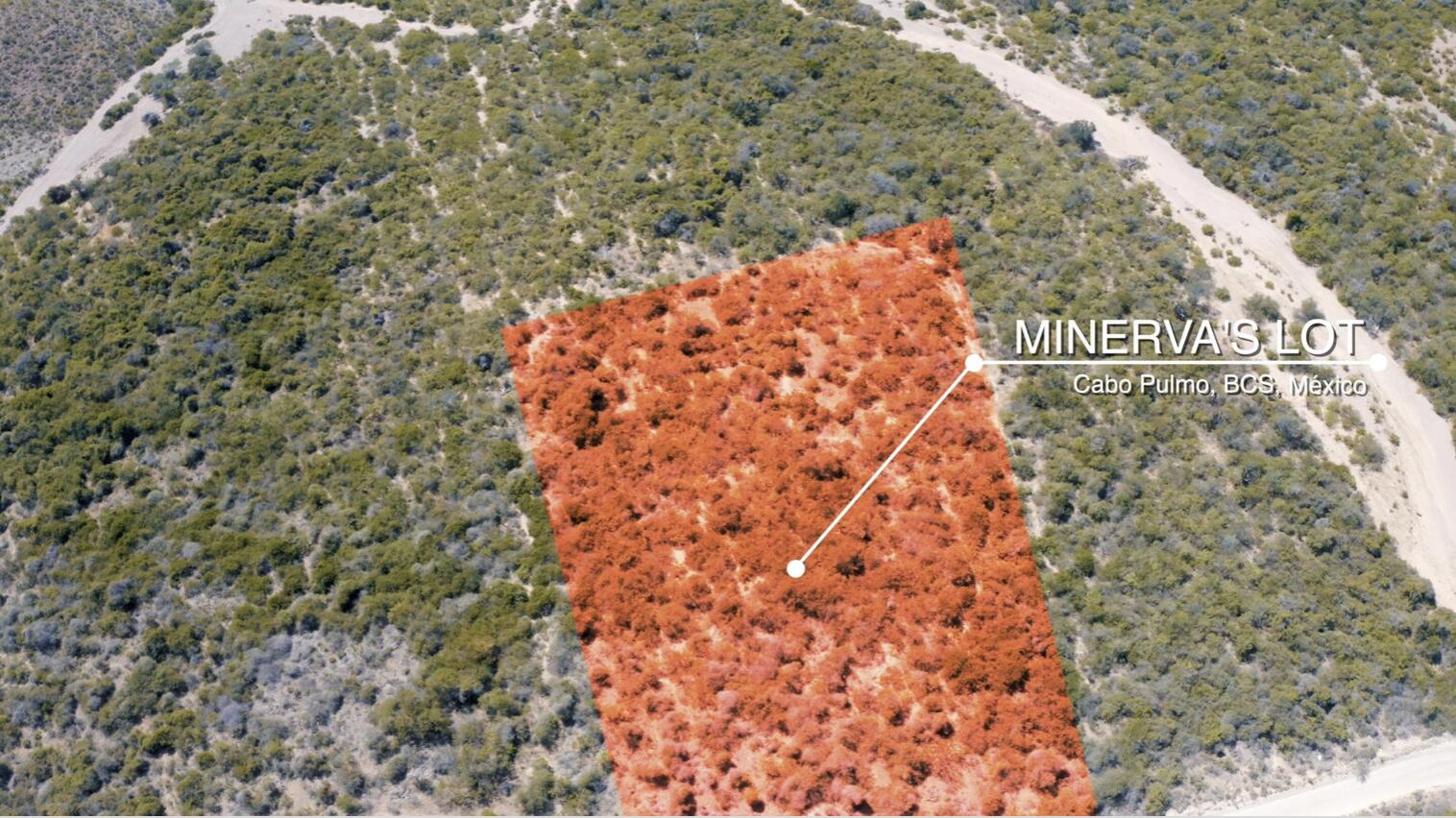Minerva's Lot