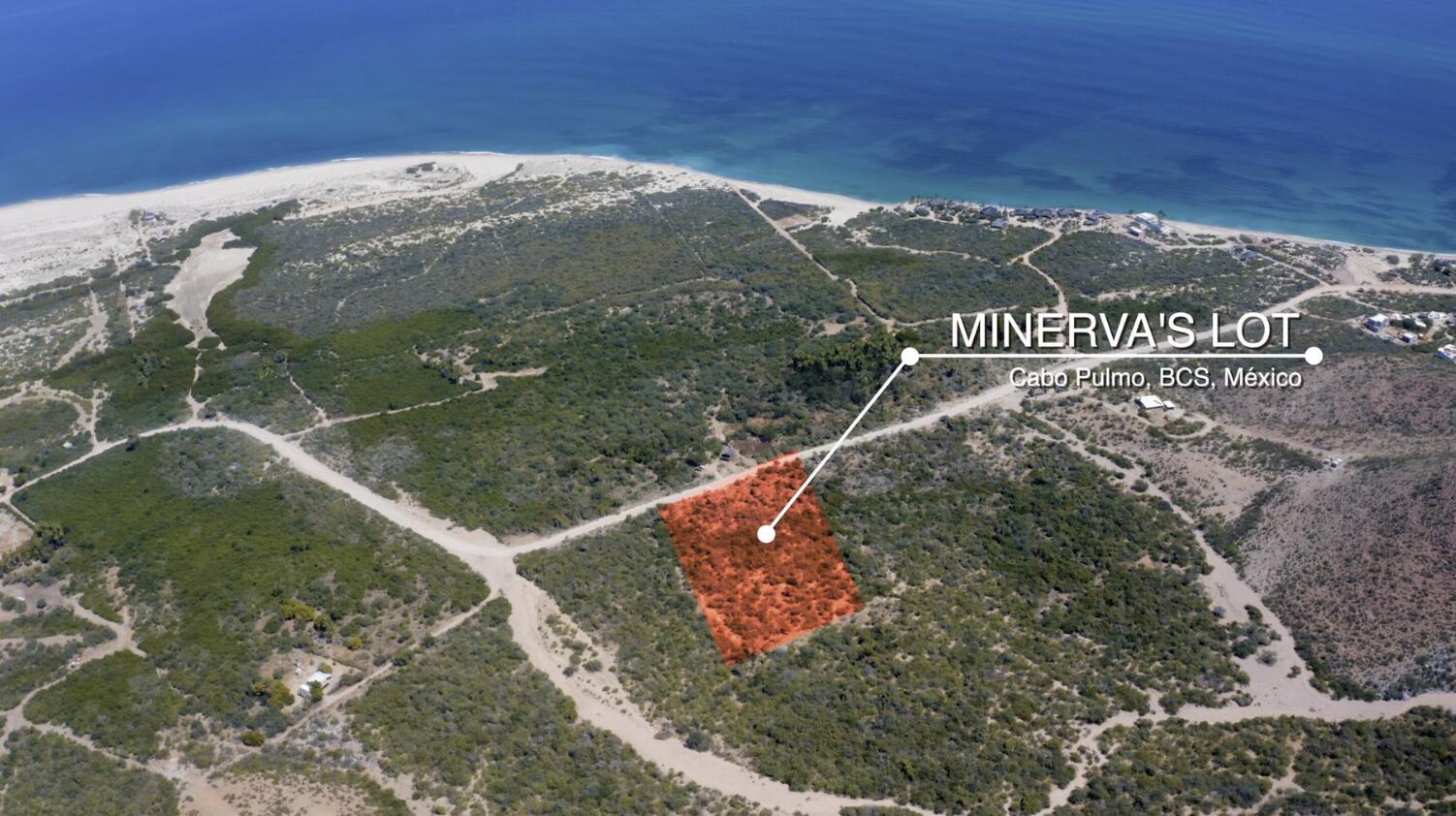 Minerva's Lot