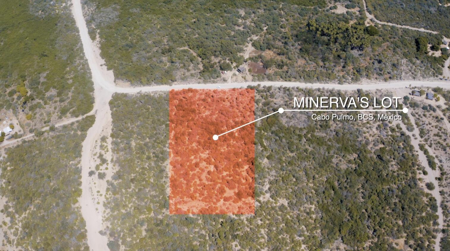 Minerva's Lot
