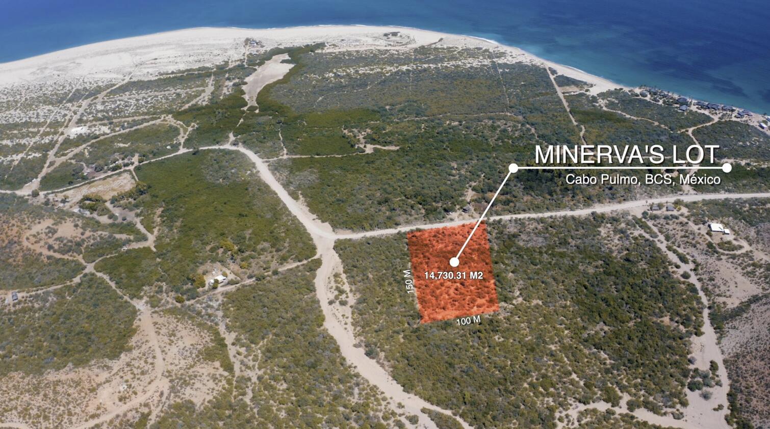 Minerva's Lot