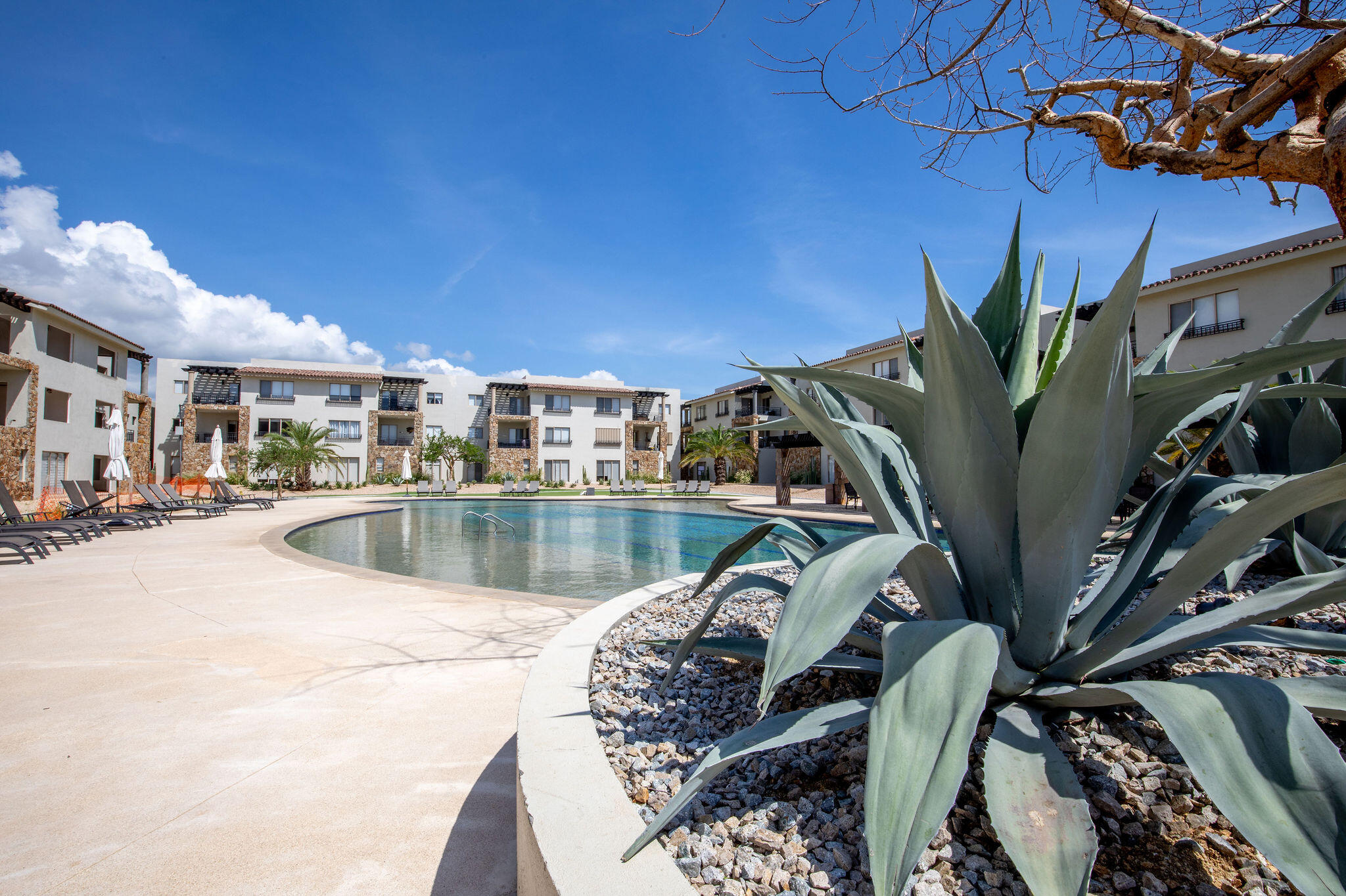 801 Camino Del Mar