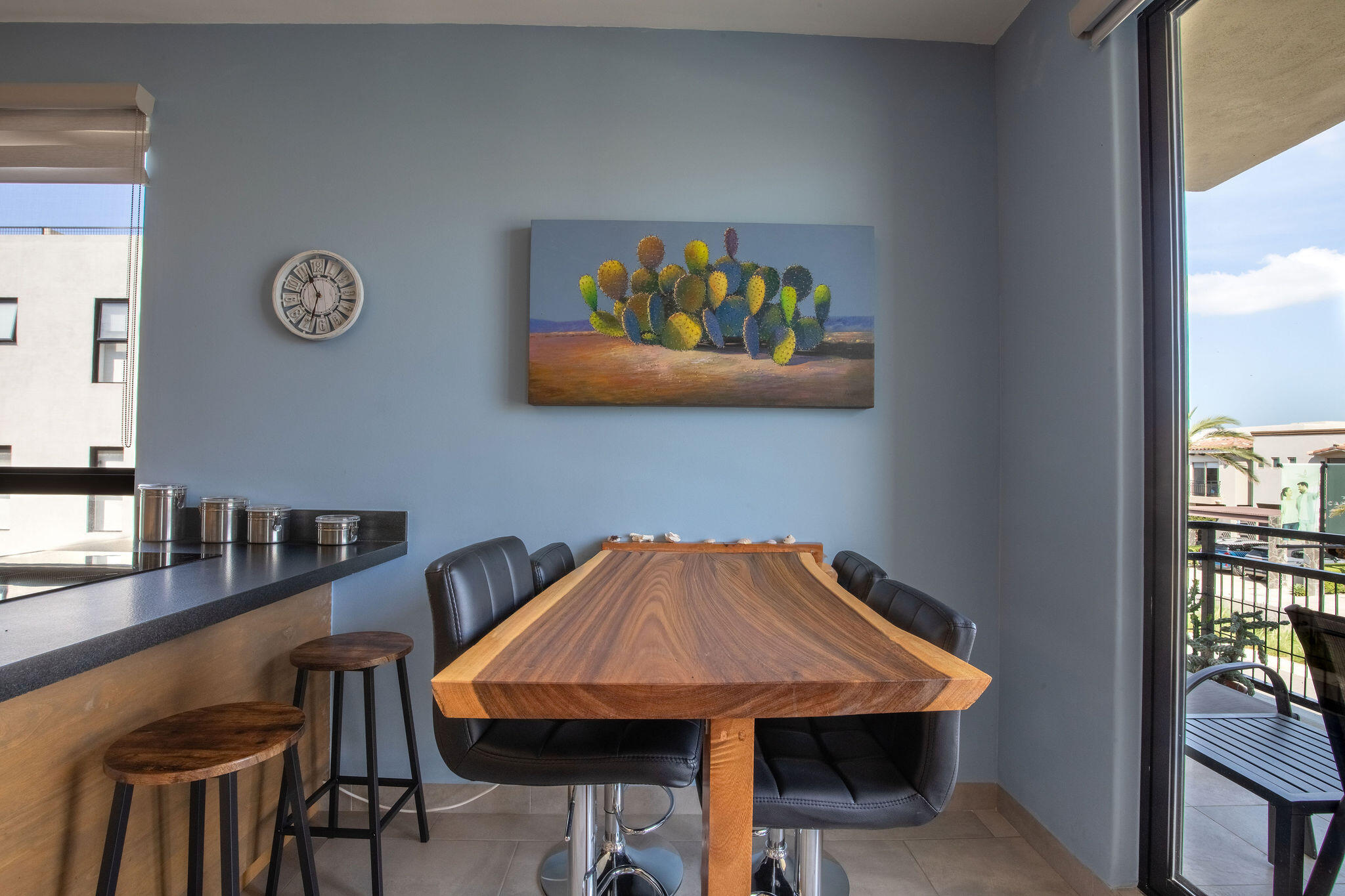 801 Camino Del Mar