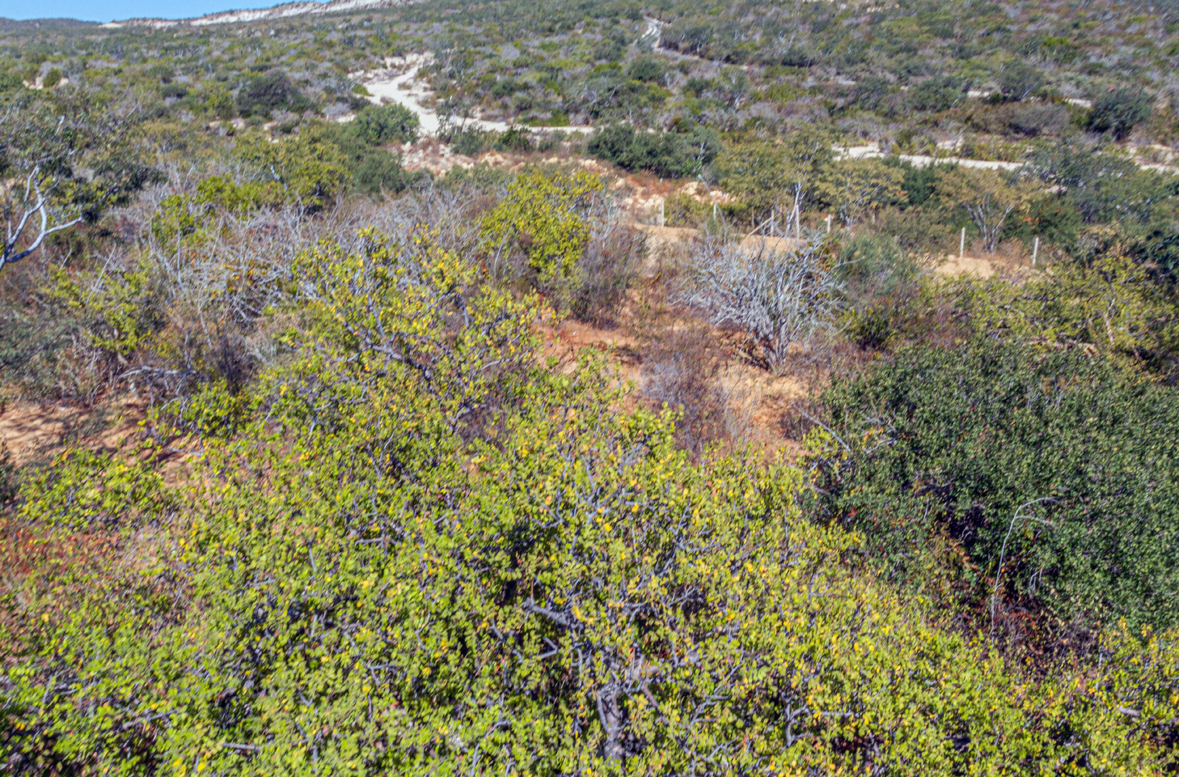 Laguna Hills Block 3, LOT, Oceanview