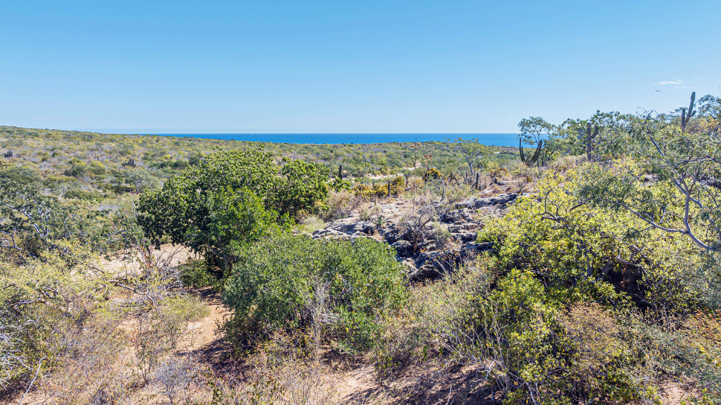 Laguna Hills Block 3, LOT, Oceanview
