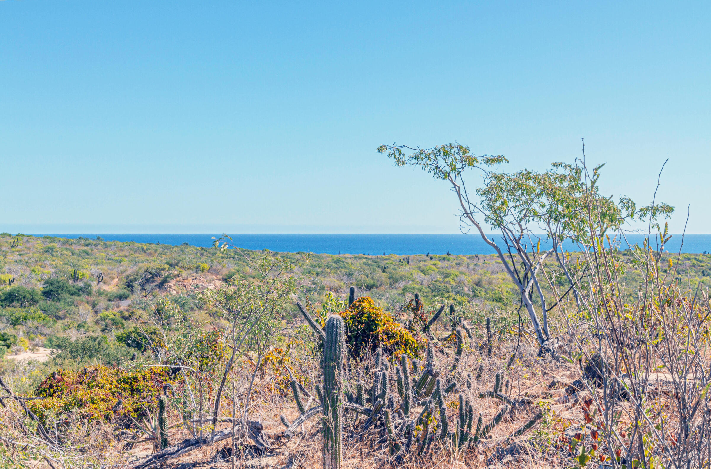 Laguna Hills Block 3, LOT, Oceanview