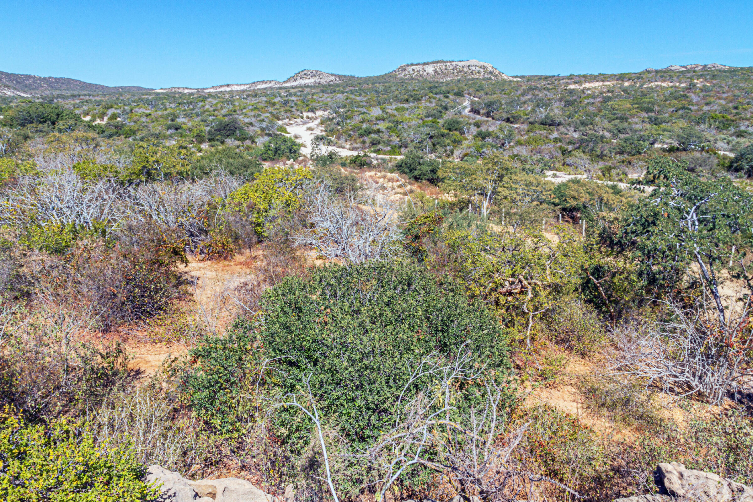Laguna Hills Block 3, LOT, Oceanview