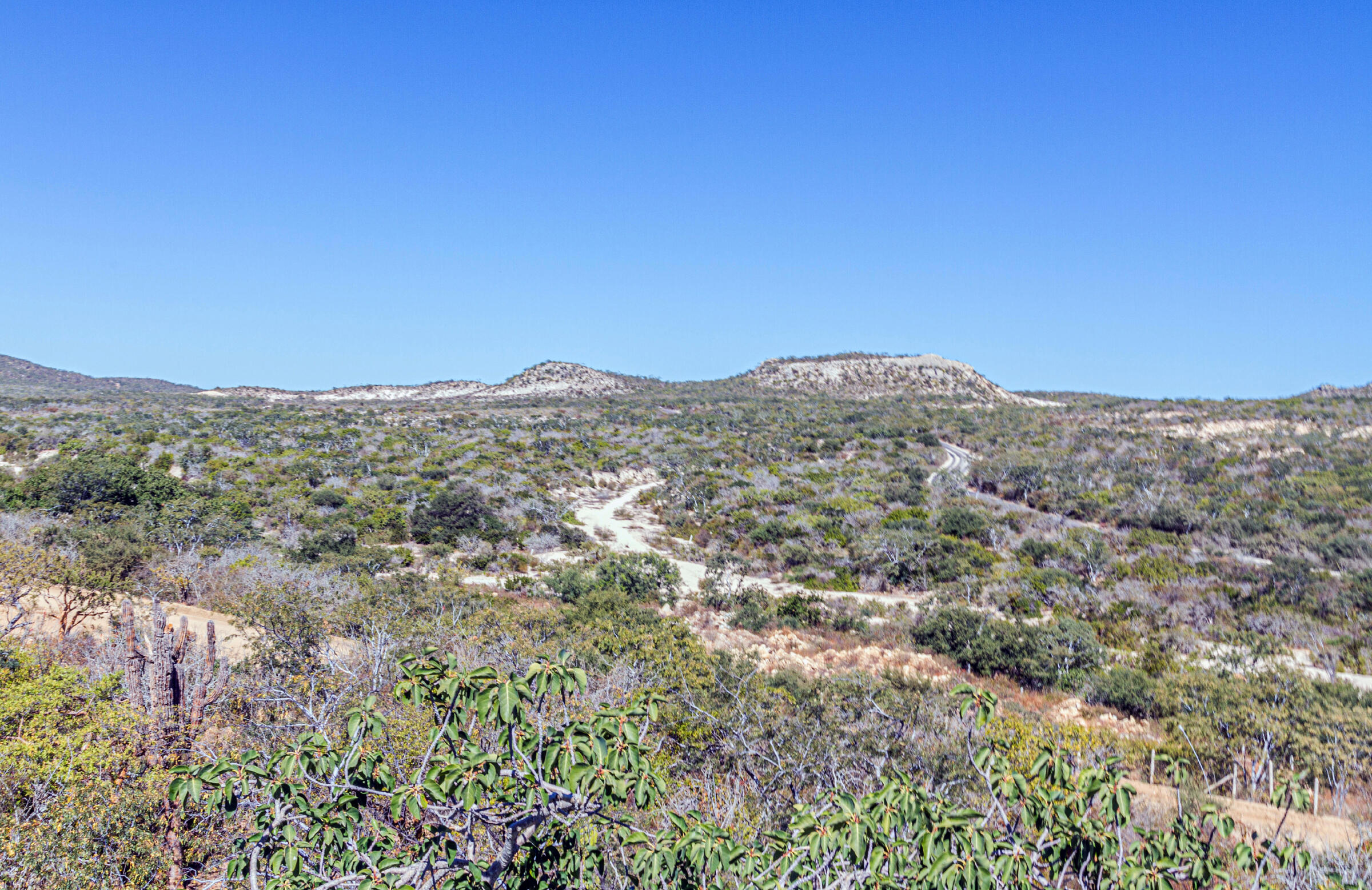 Laguna Hills Block 3, LOT, Oceanview
