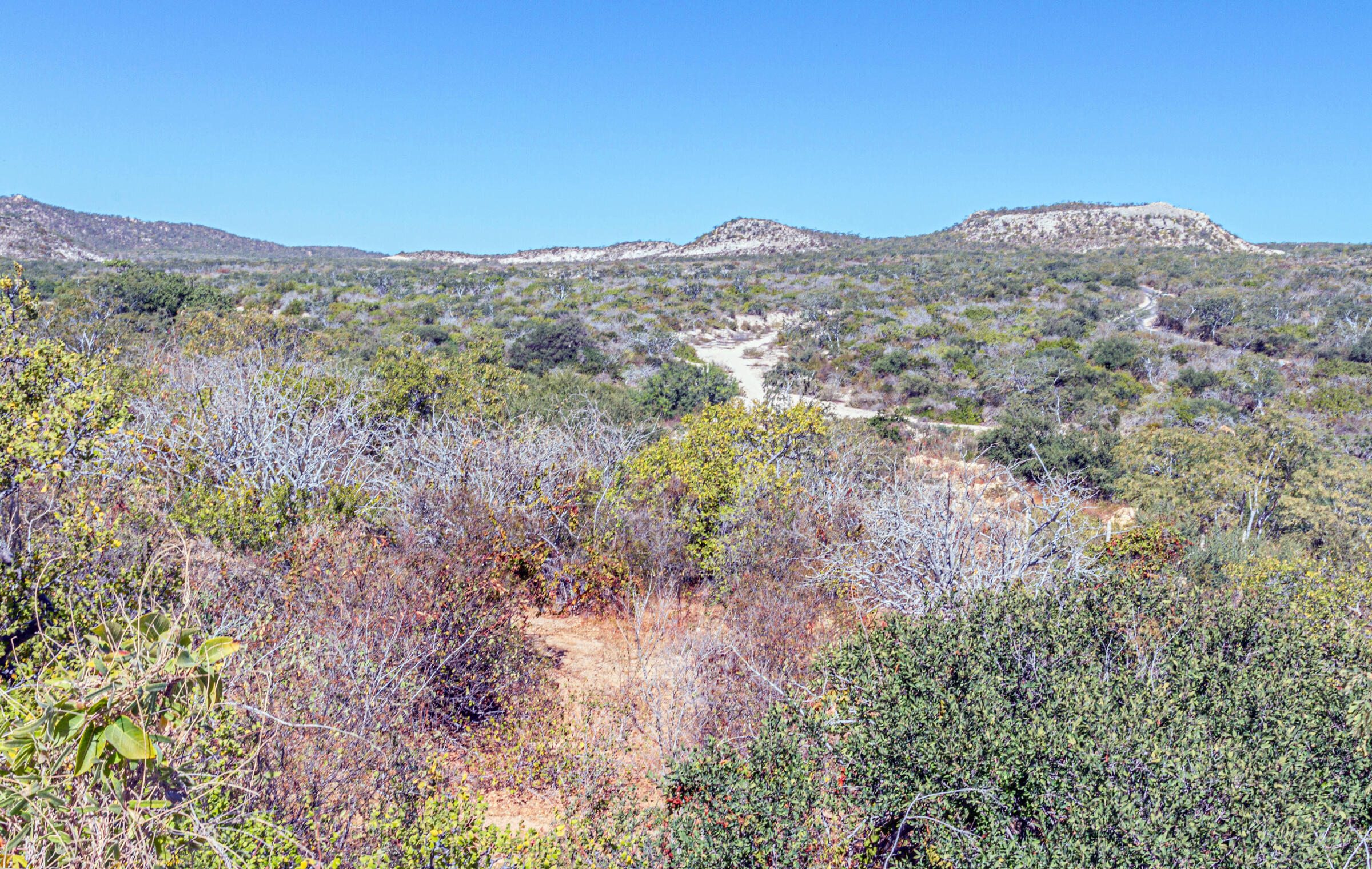 Laguna Hills Block 3, LOT, Oceanview
