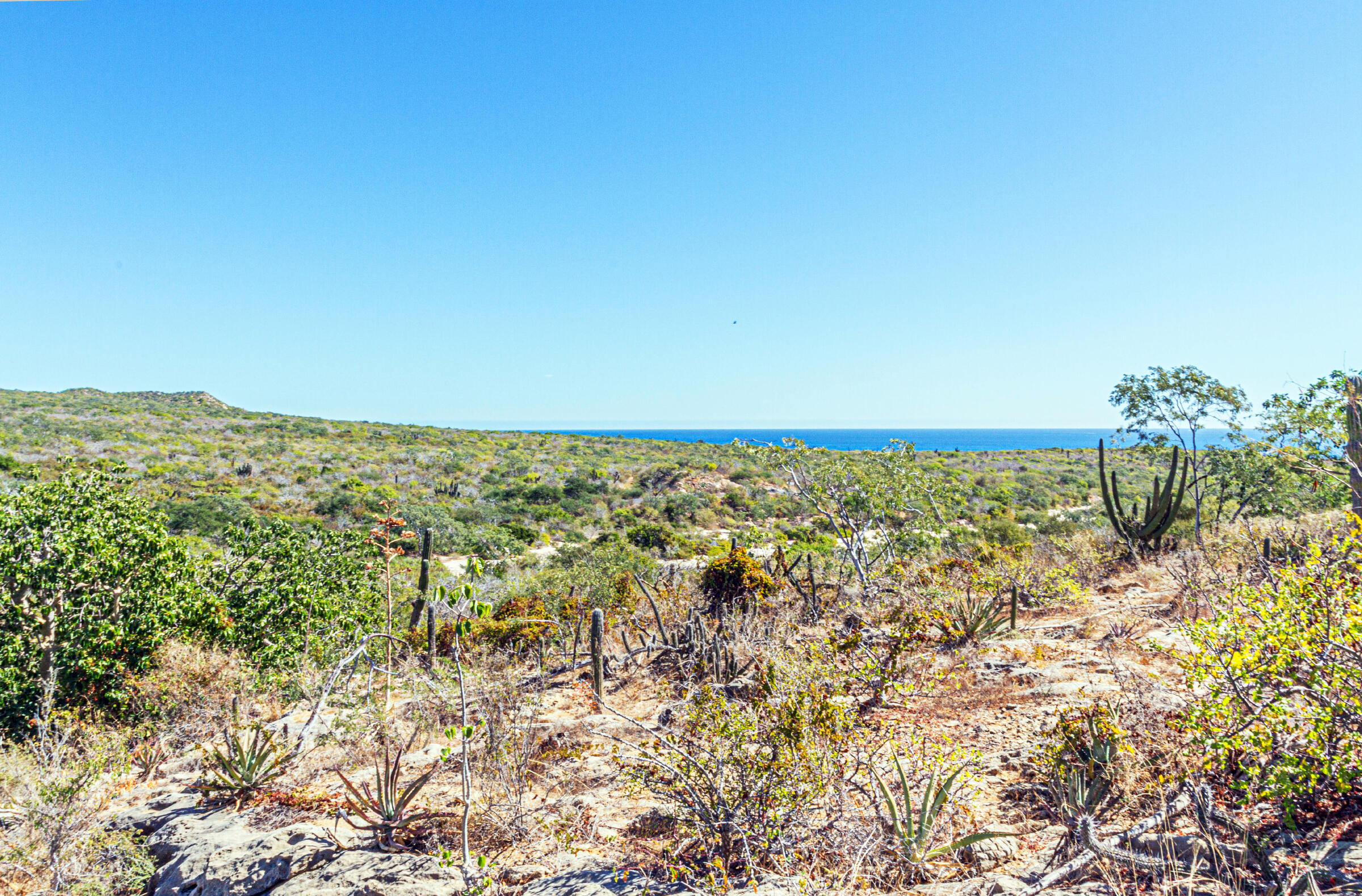 Laguna Hills Block 3, LOT, Oceanview
