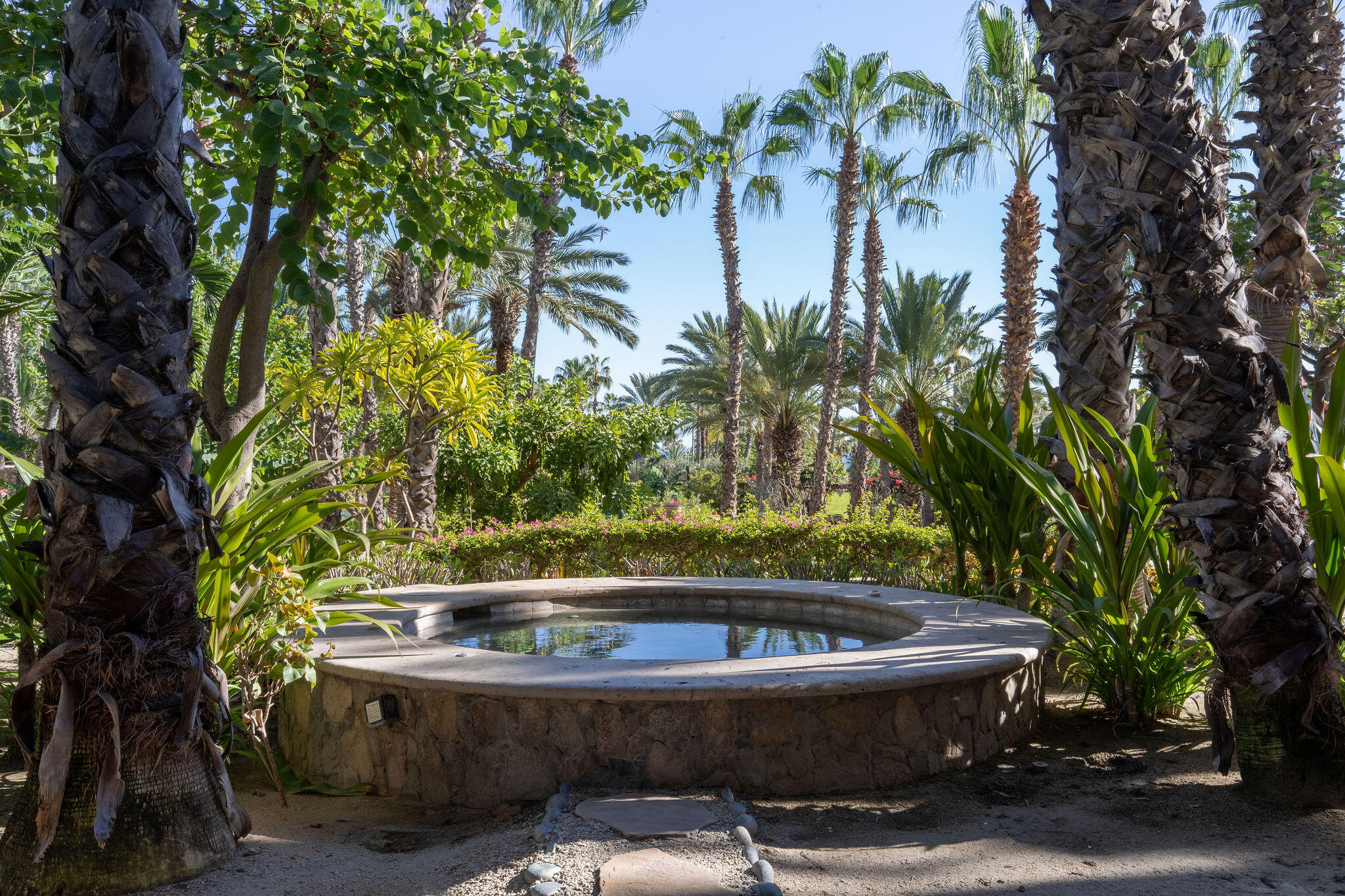 Ground Flr Esperanza Auberge Residences, APRE 2702