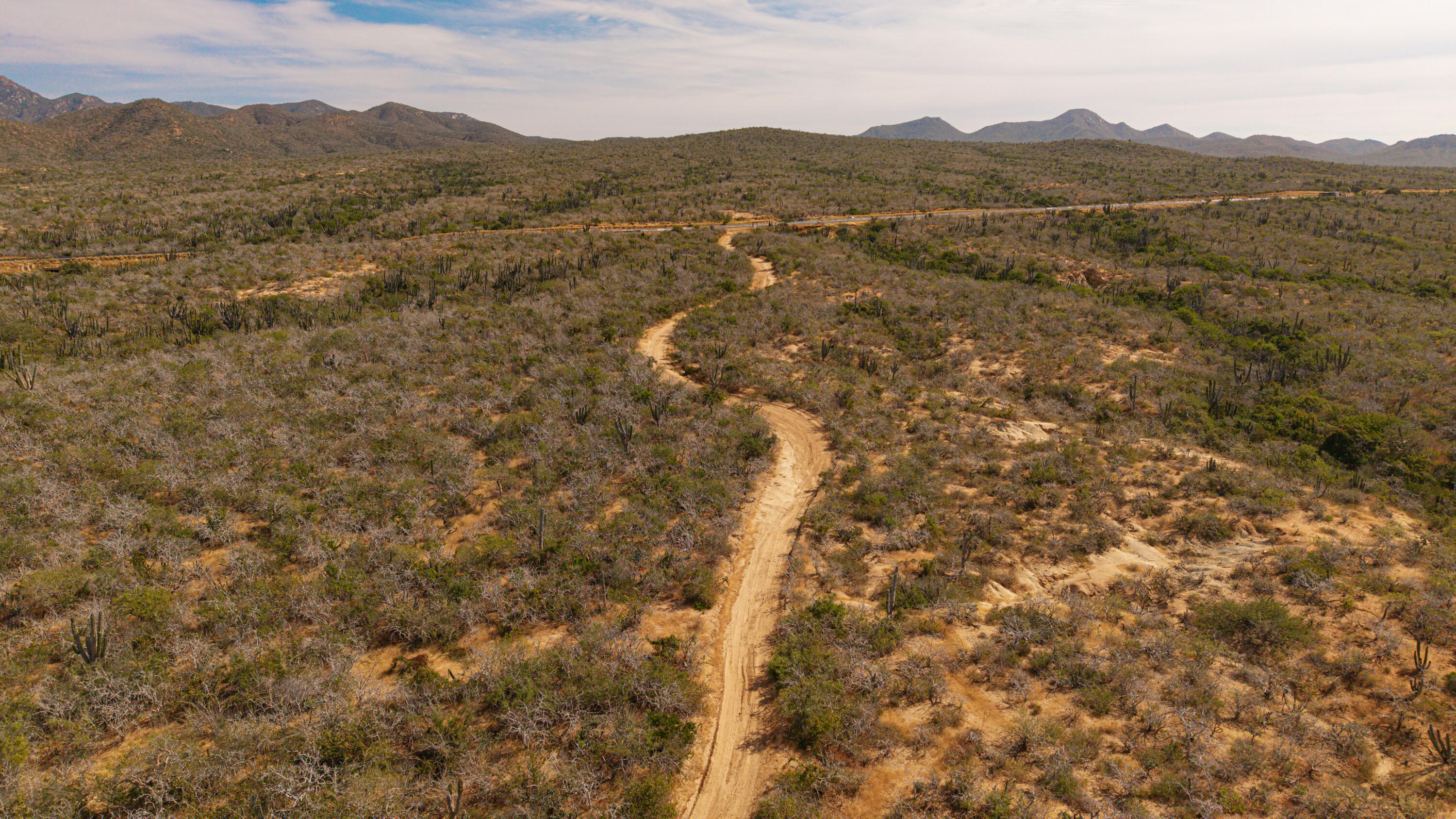 Migriño Oceanfront Paradise Lo