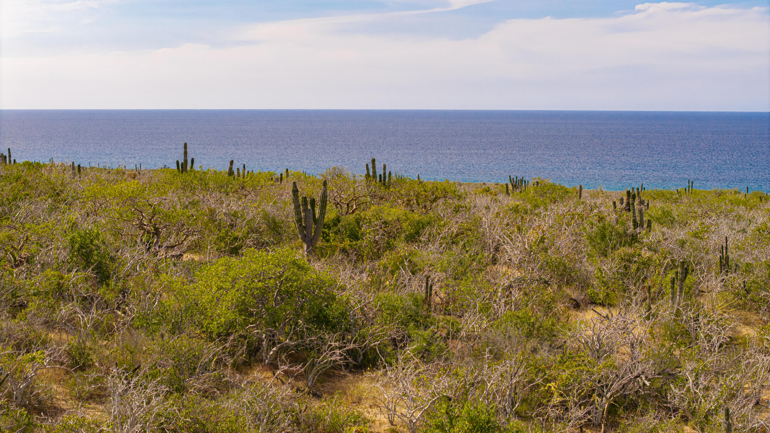 Migriño Oceanfront Paradise Lo