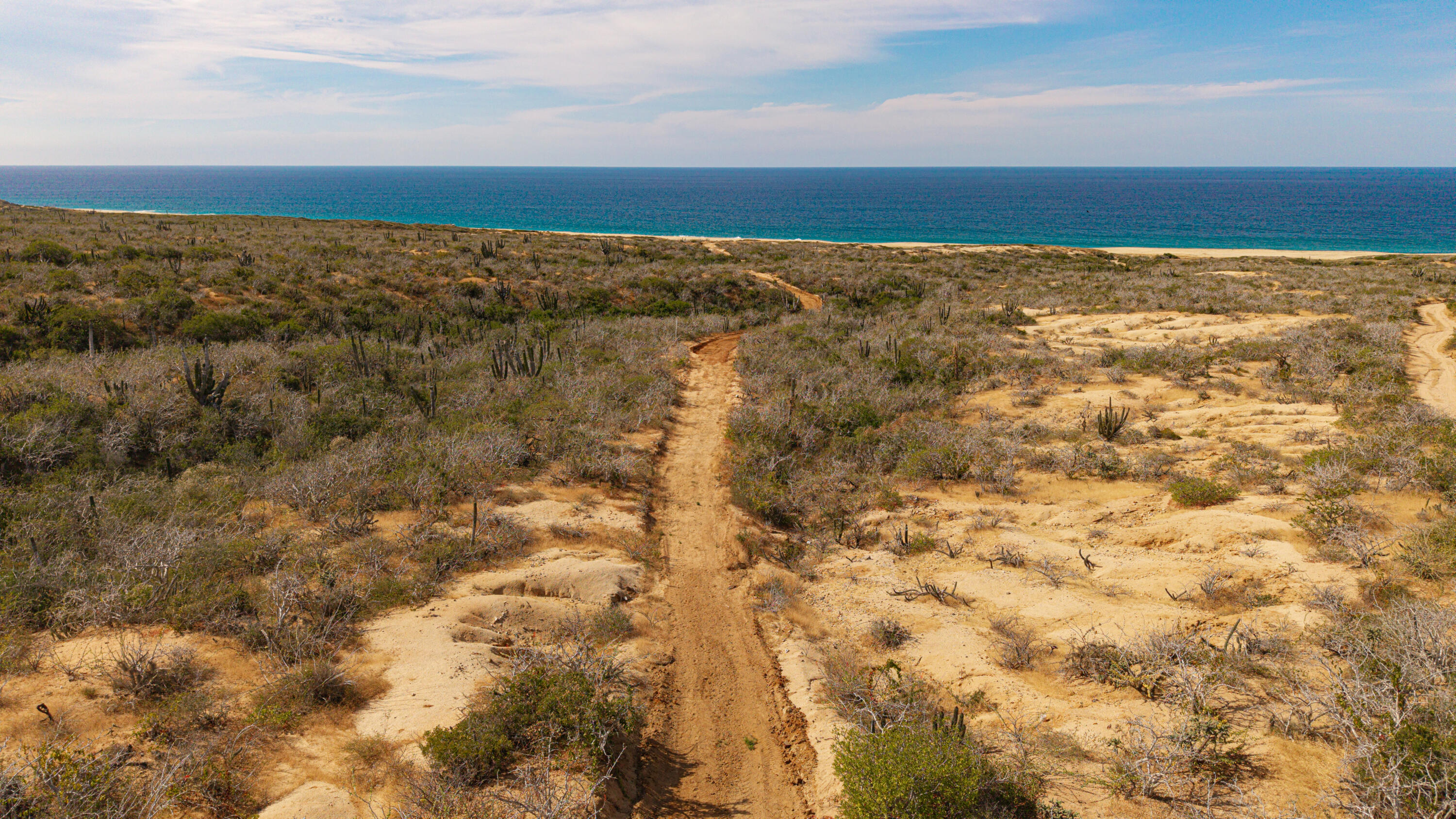 Migriño Oceanfront Paradise Lo
