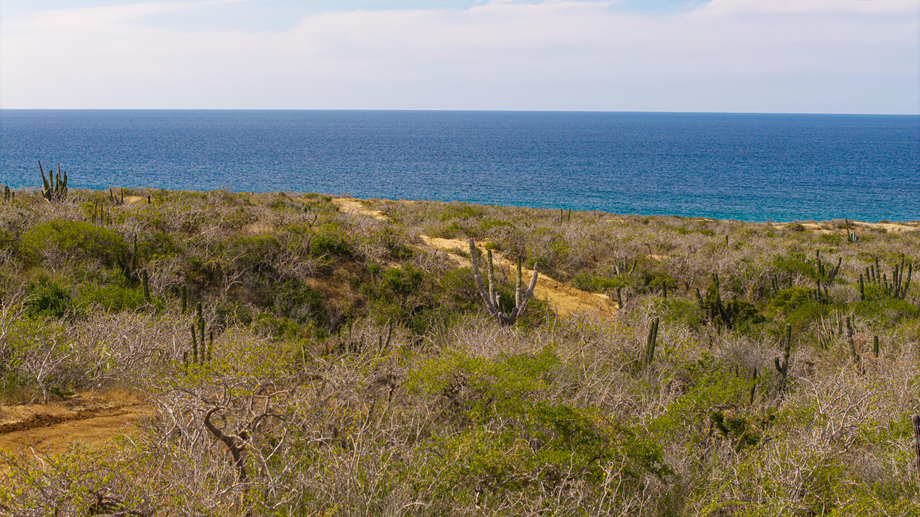Migriño Oceanfront Paradise Lo