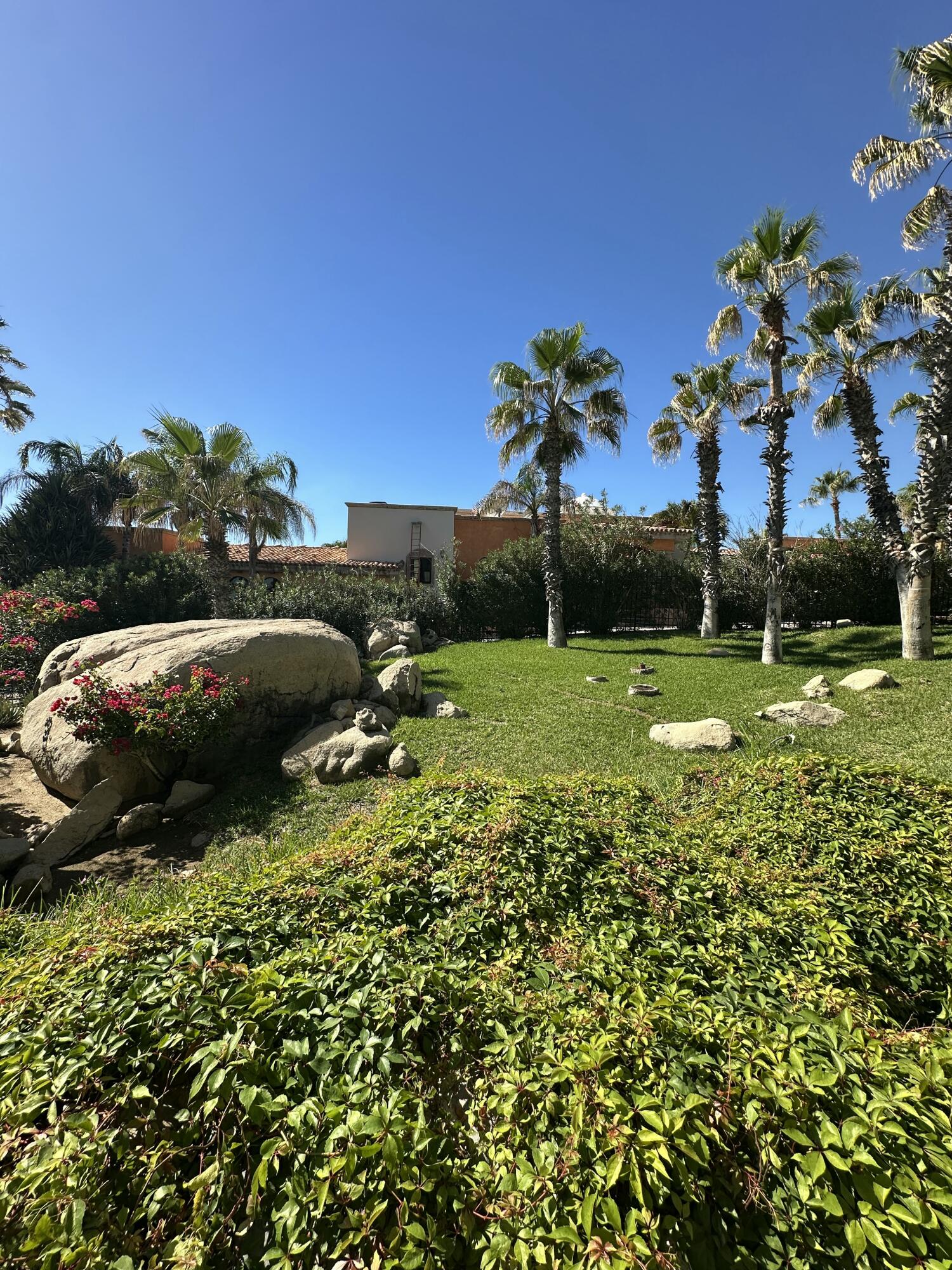Ocean View Cabo Cove Condo