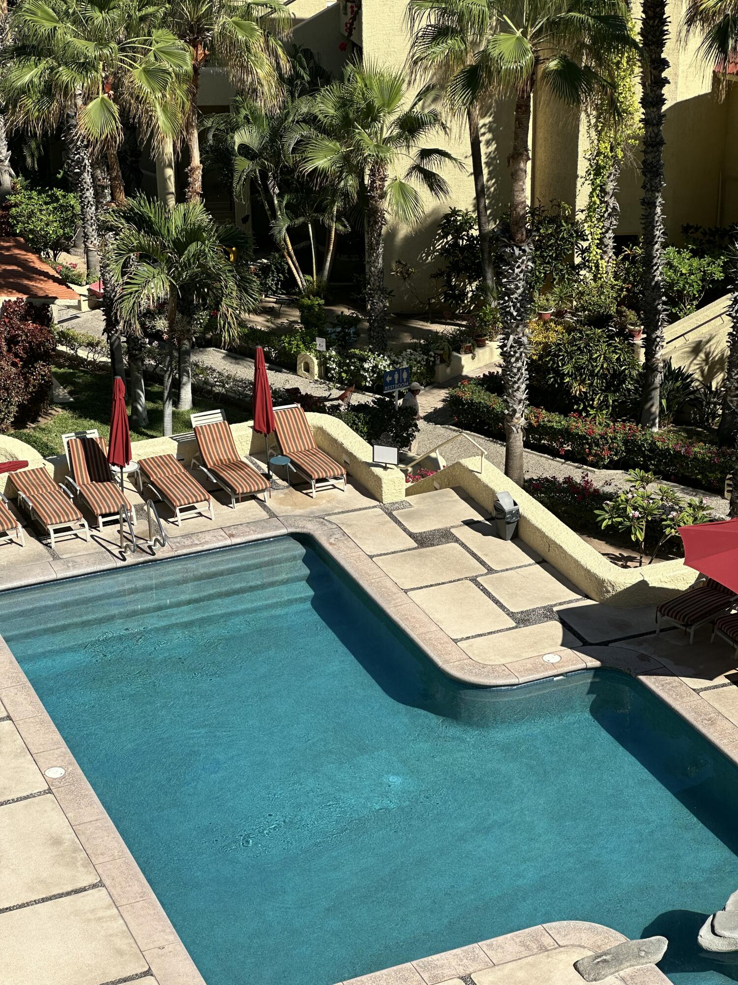 Ocean View Cabo Cove Condo