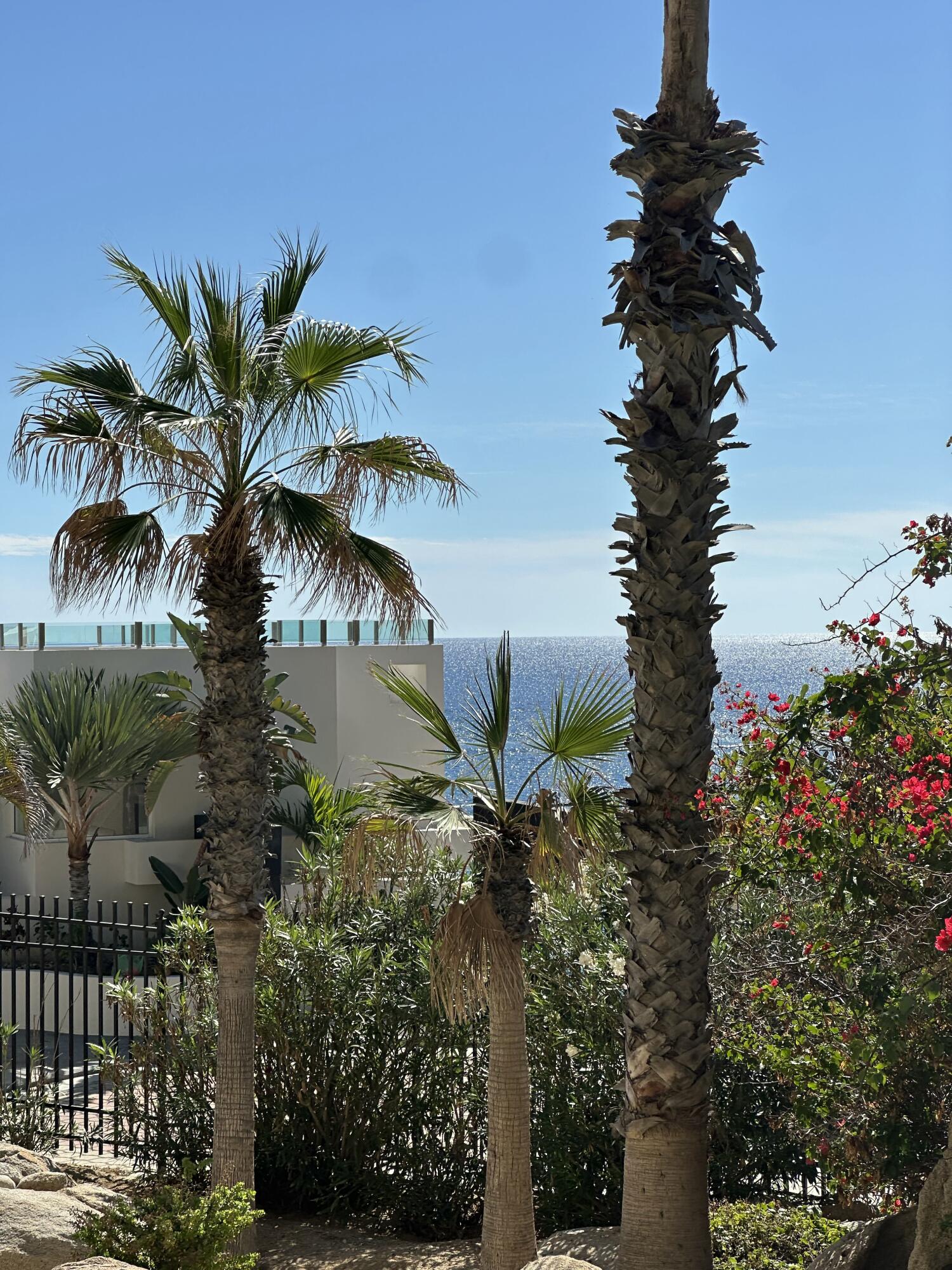 Ocean View Cabo Cove Condo