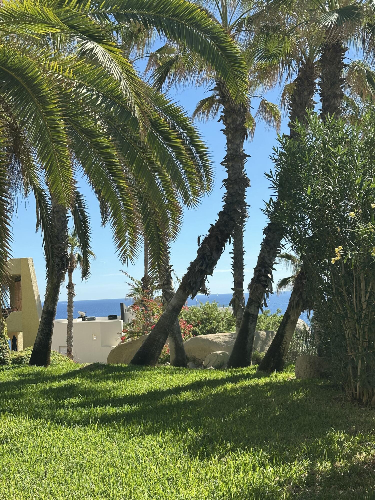 Ocean View Cabo Cove Condo