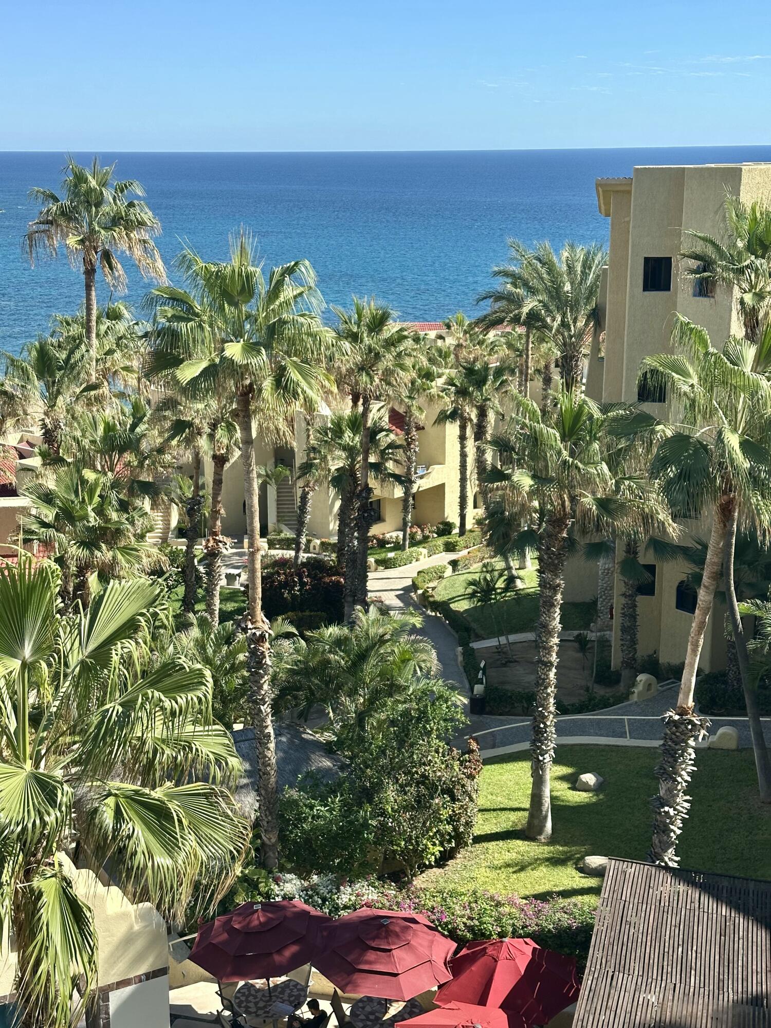 Incredible View's Cove Condo