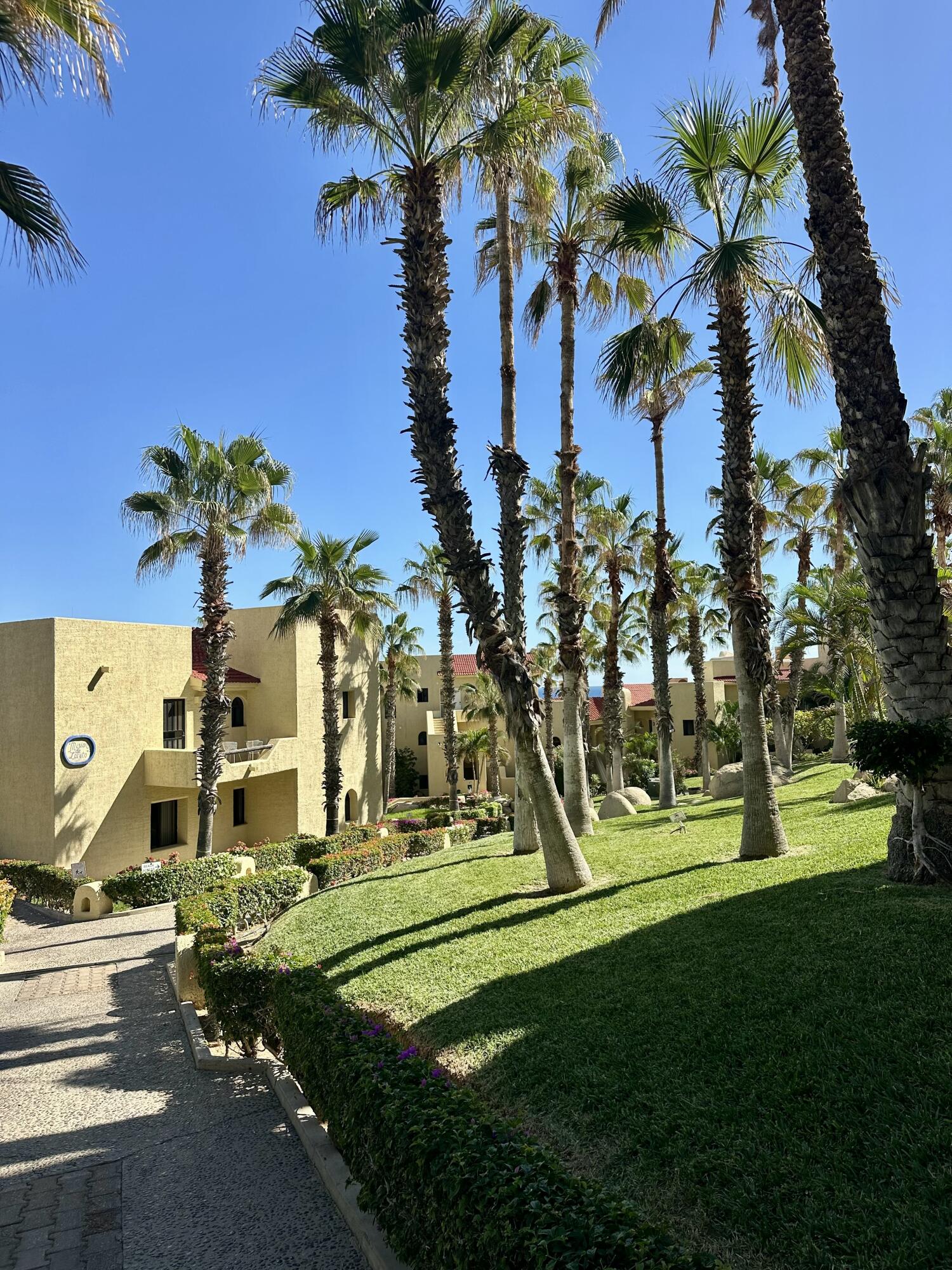 Incredible View's Cove Condo