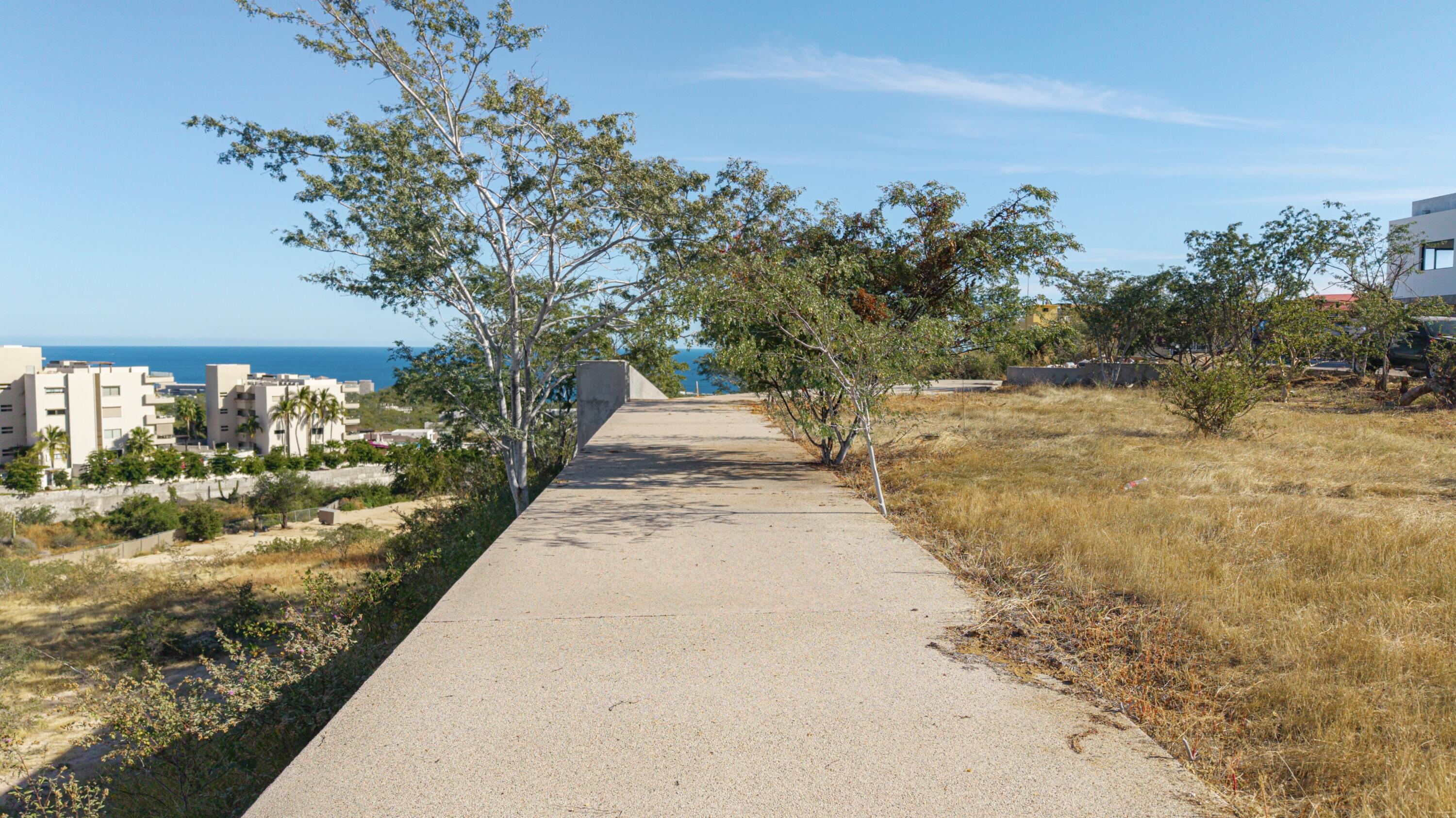 Developer Lots El Tule