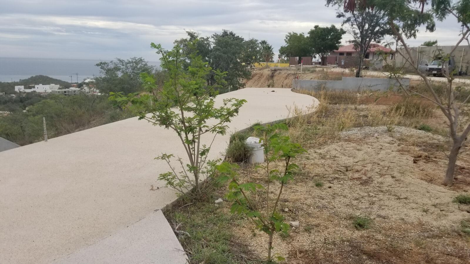 Developer Lots El Tule