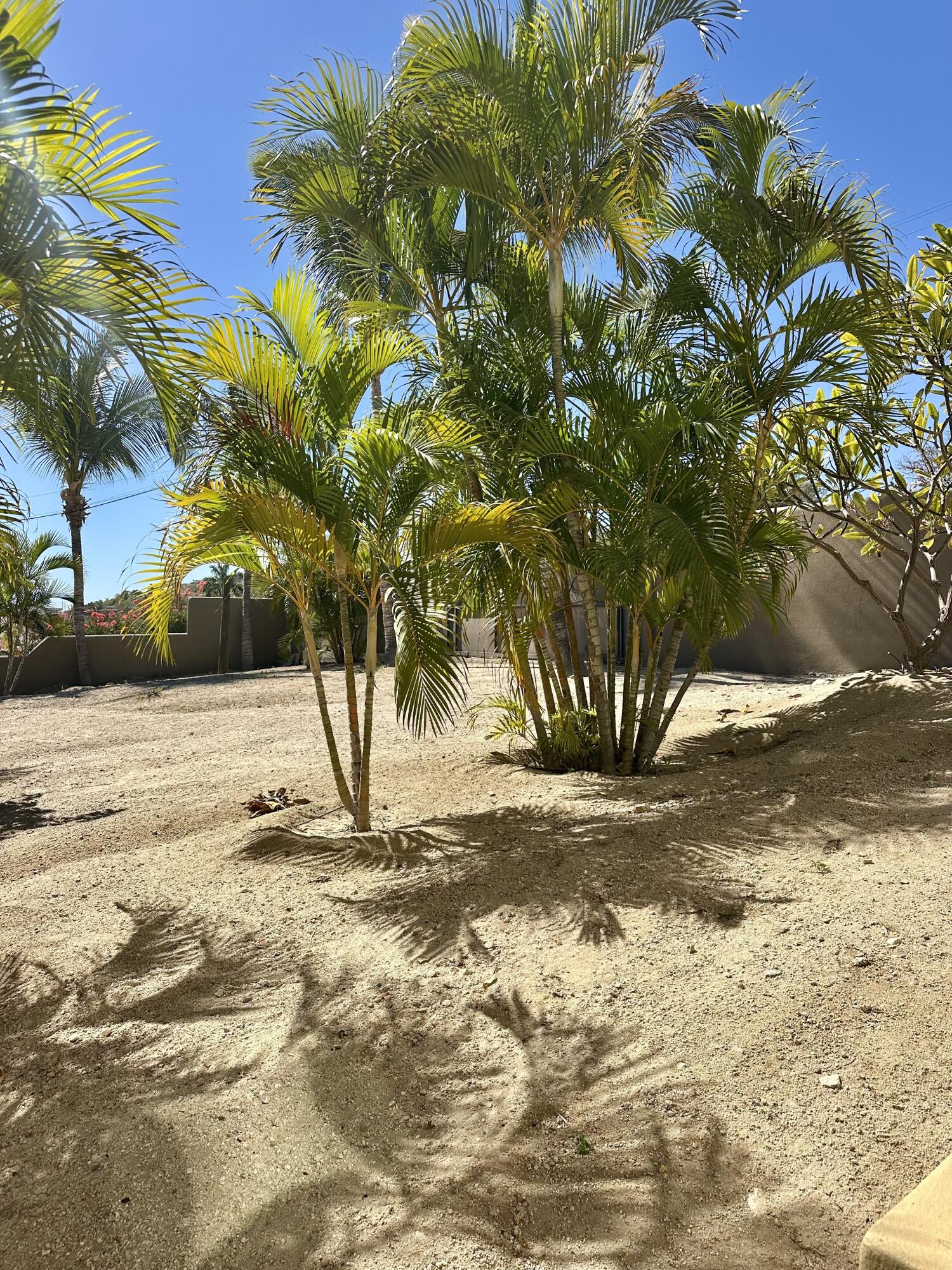 Carretera transpeninsular, Gringo hills compound