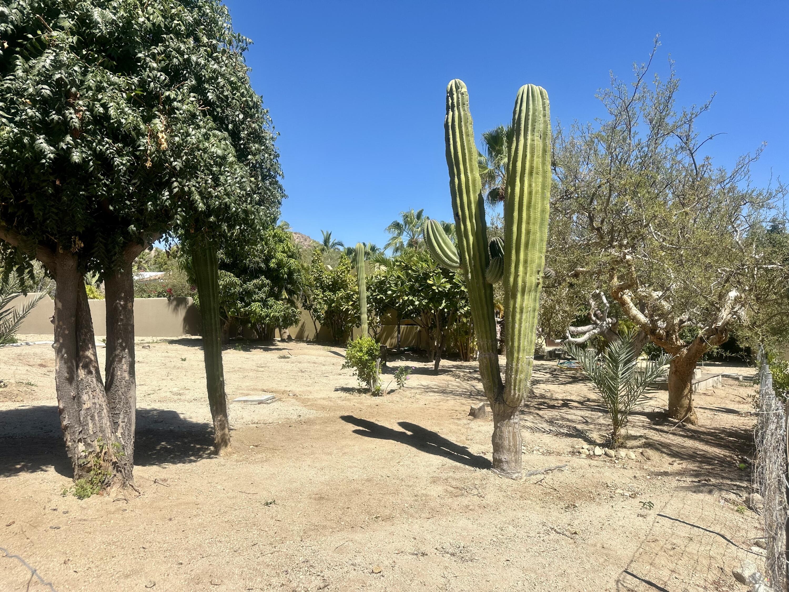 Carretera transpeninsular, Gringo hills compound