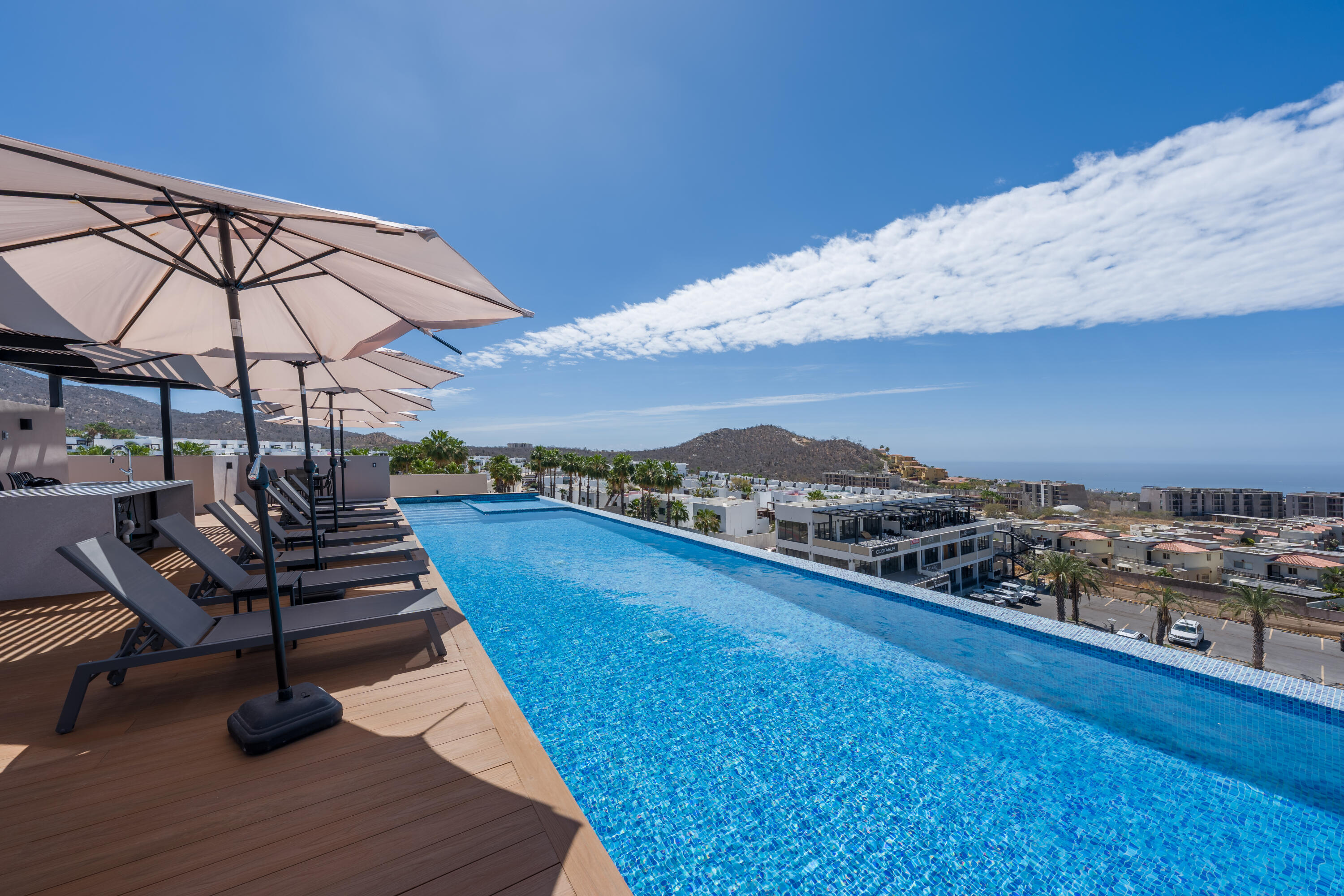 Tezal Sea of cortez, Balena Los cabos