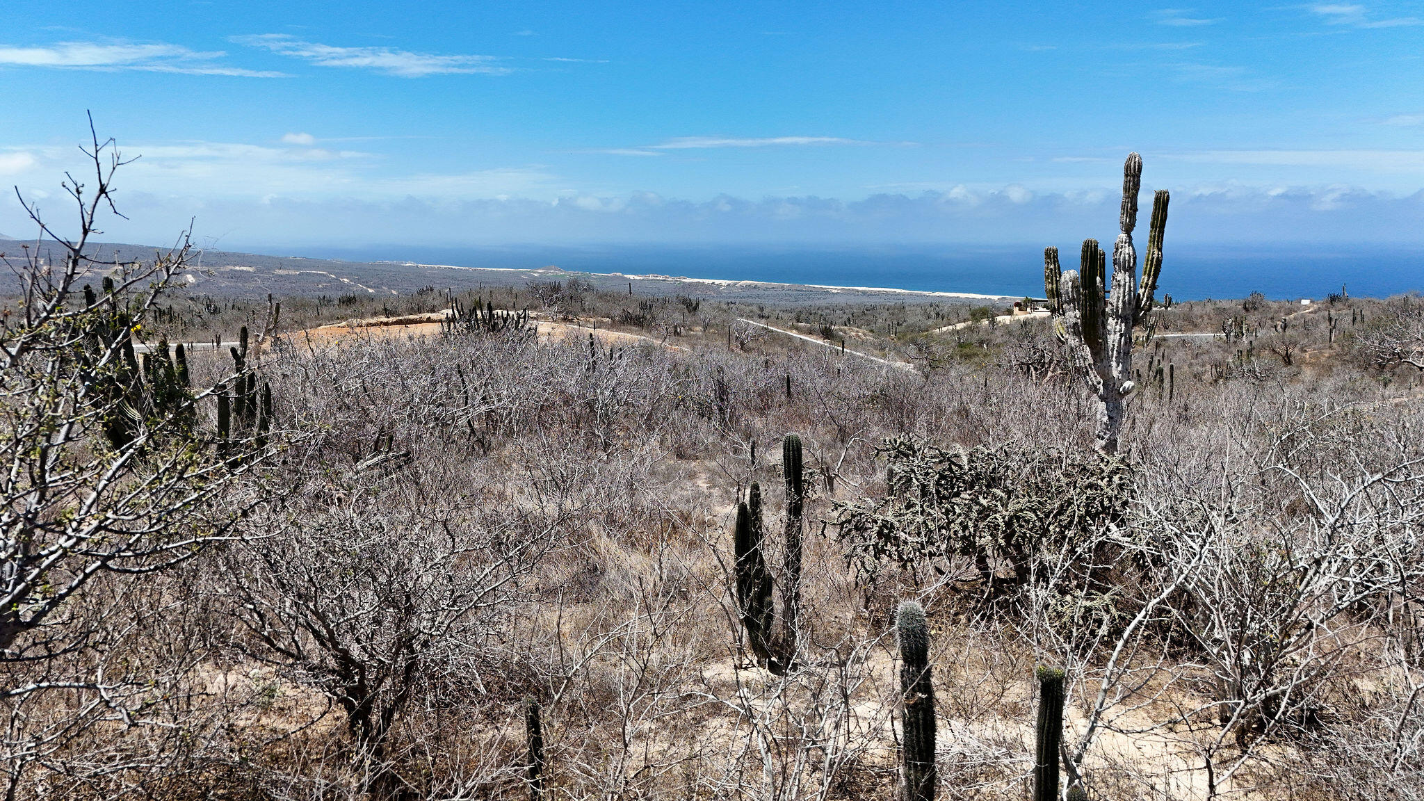 L17 B19 Rolling Hills, Villa Baja Vista