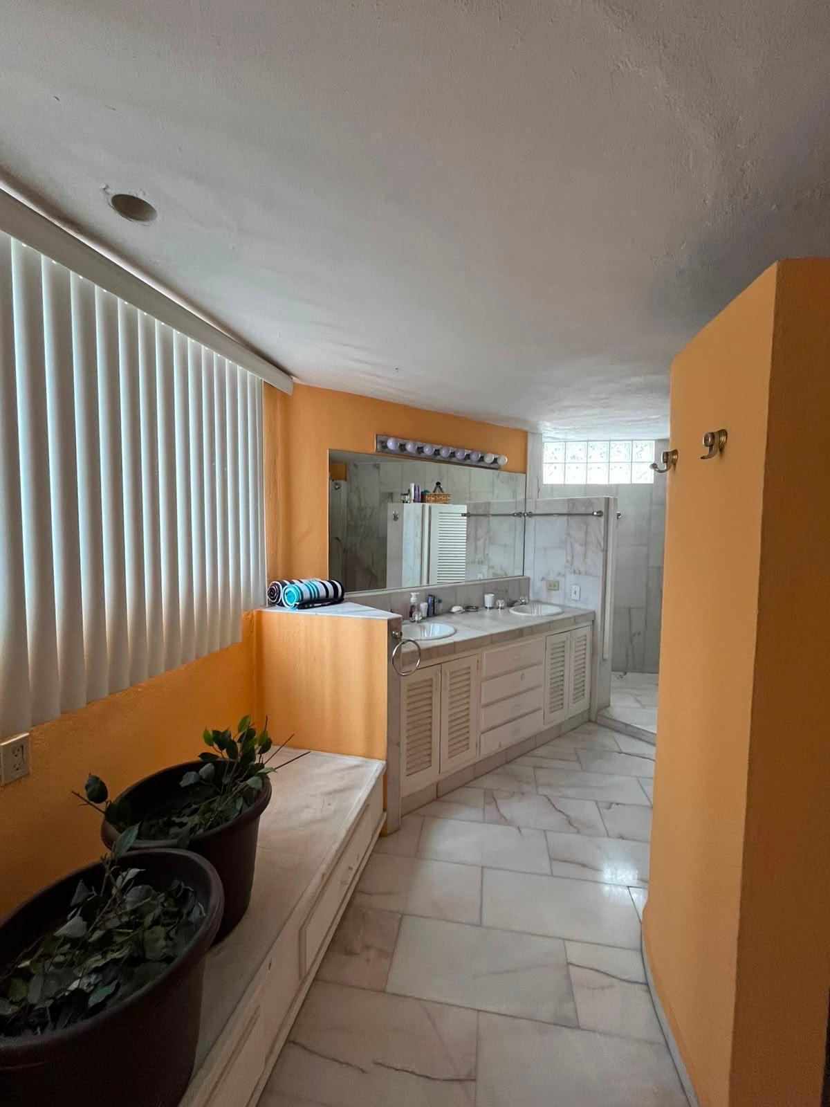 lot 1, Manzana 264, Pedregal, Casa Gatito