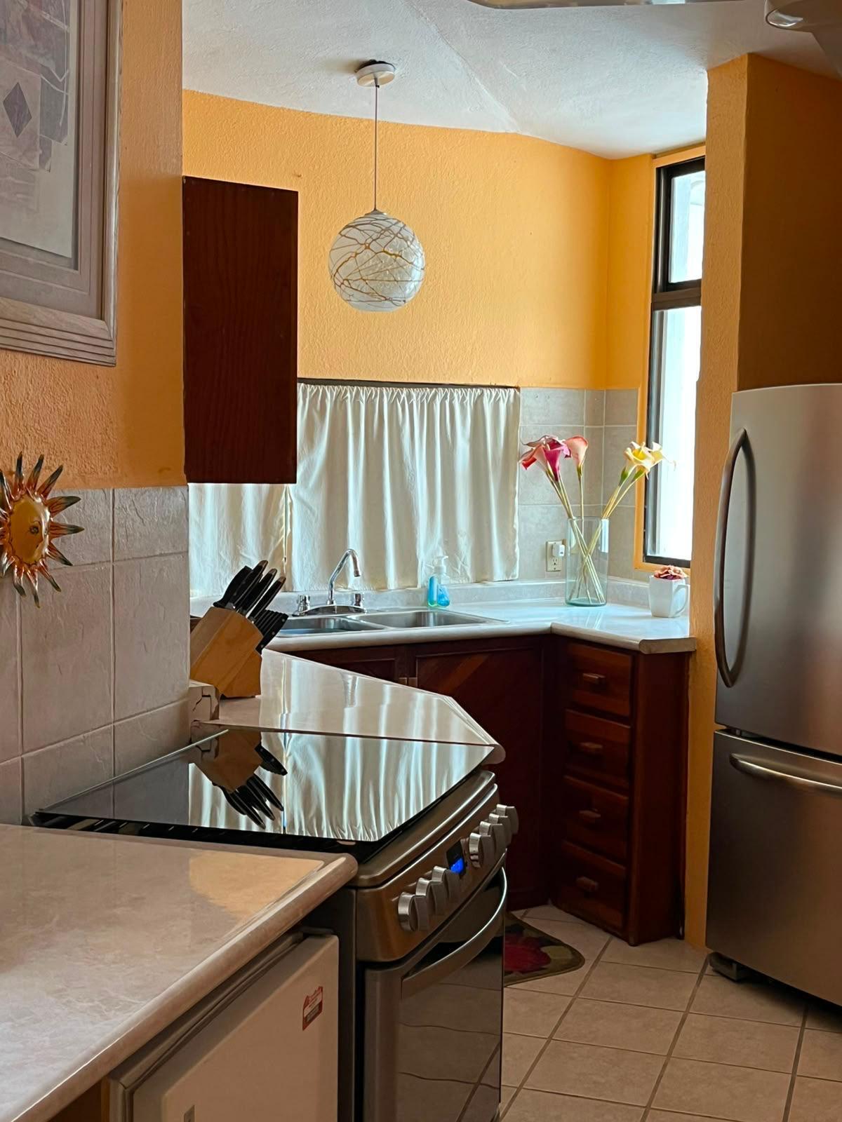 lot 1, Manzana 264, Pedregal, Casa Gatito