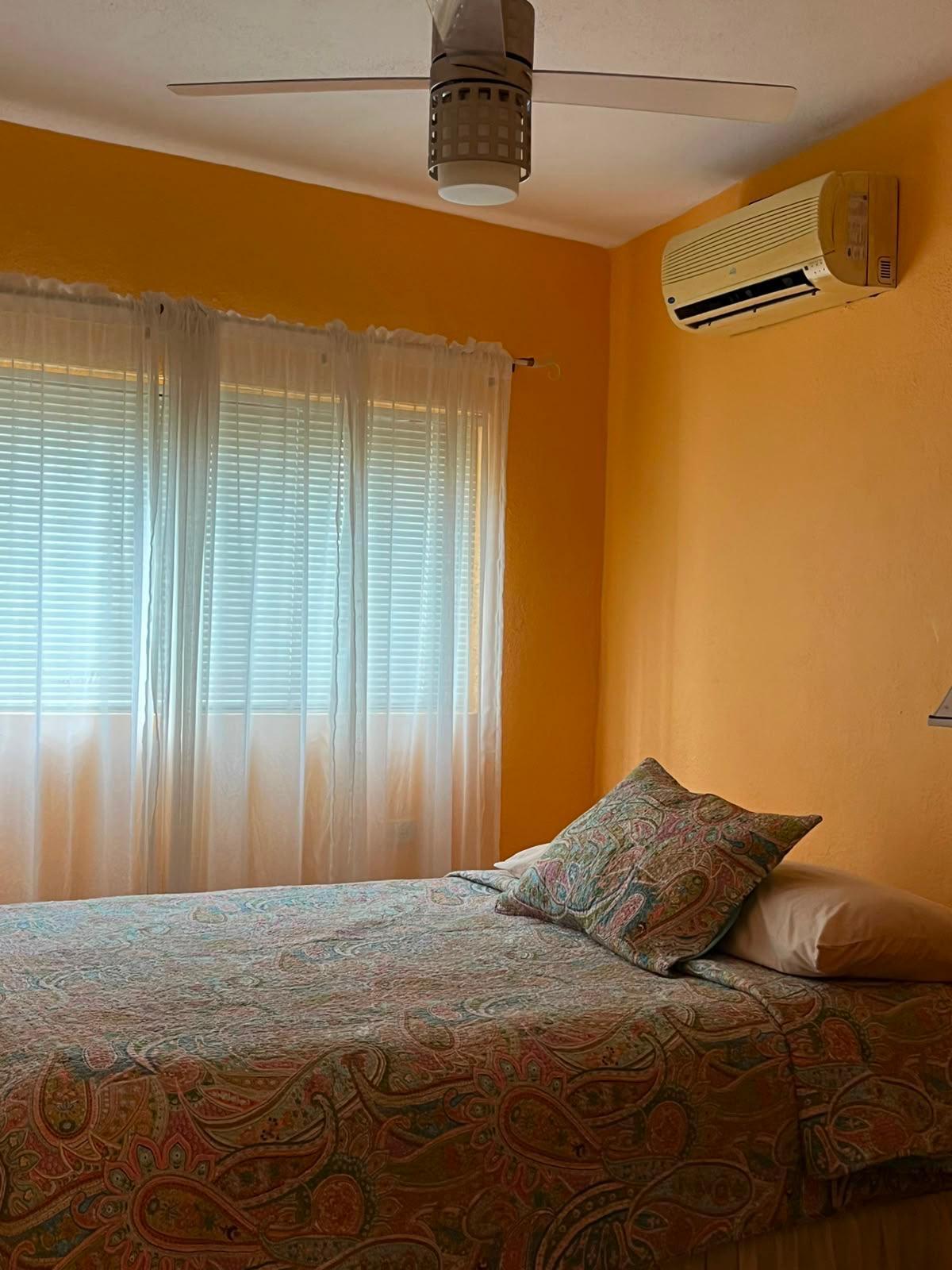 lot 1, Manzana 264, Pedregal, Casa Gatito