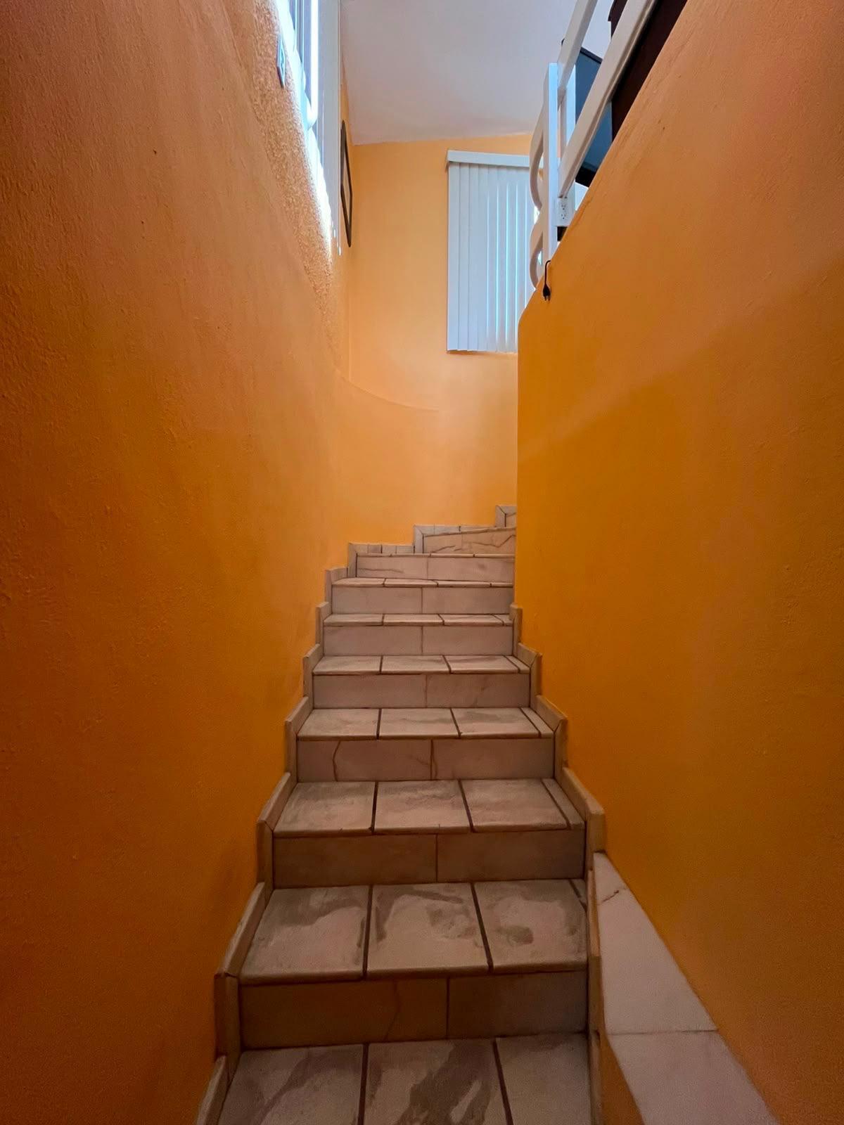 lot 1, Manzana 264, Pedregal, Casa Gatito