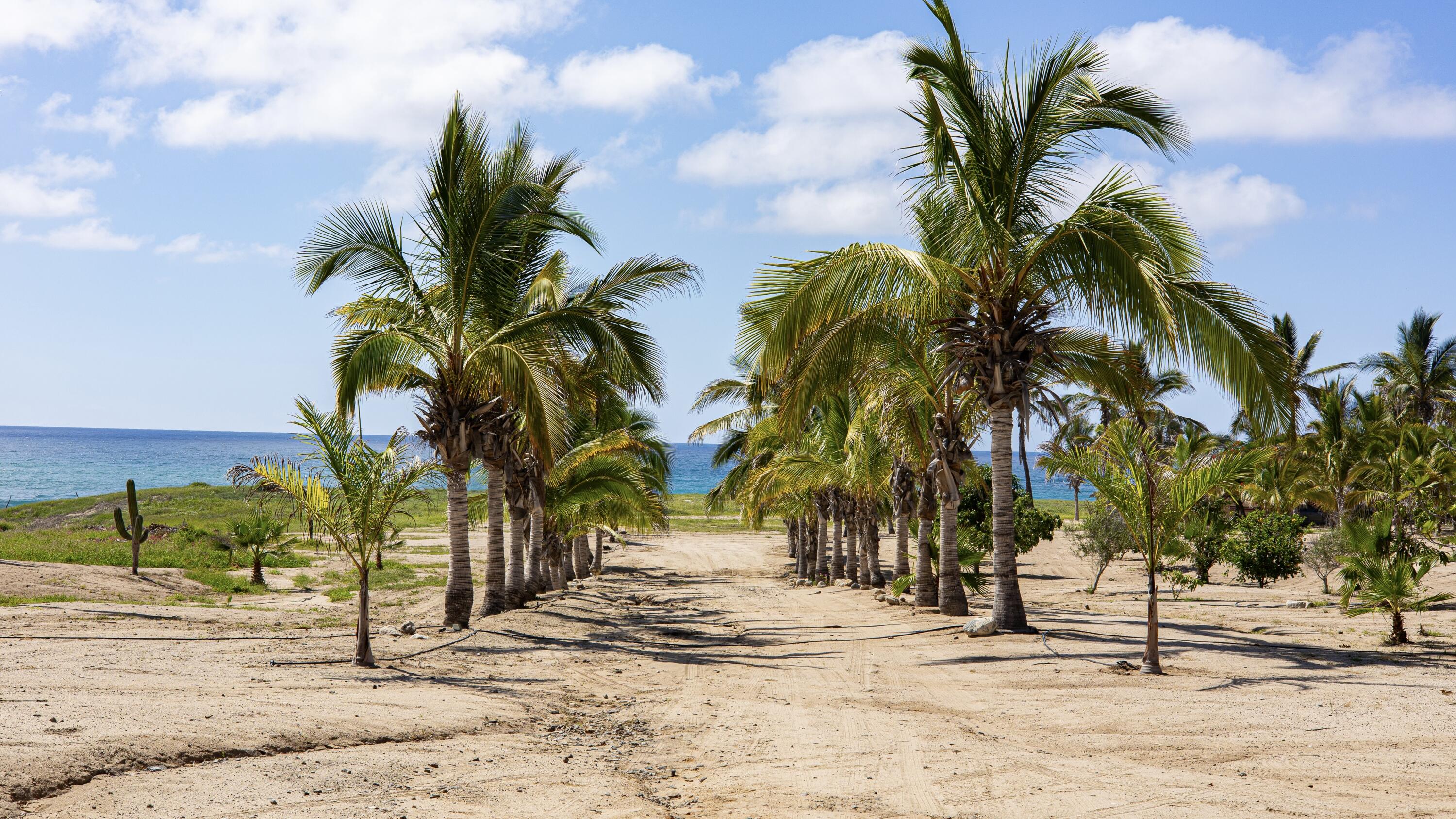 Rancho Gaspareño Parcel