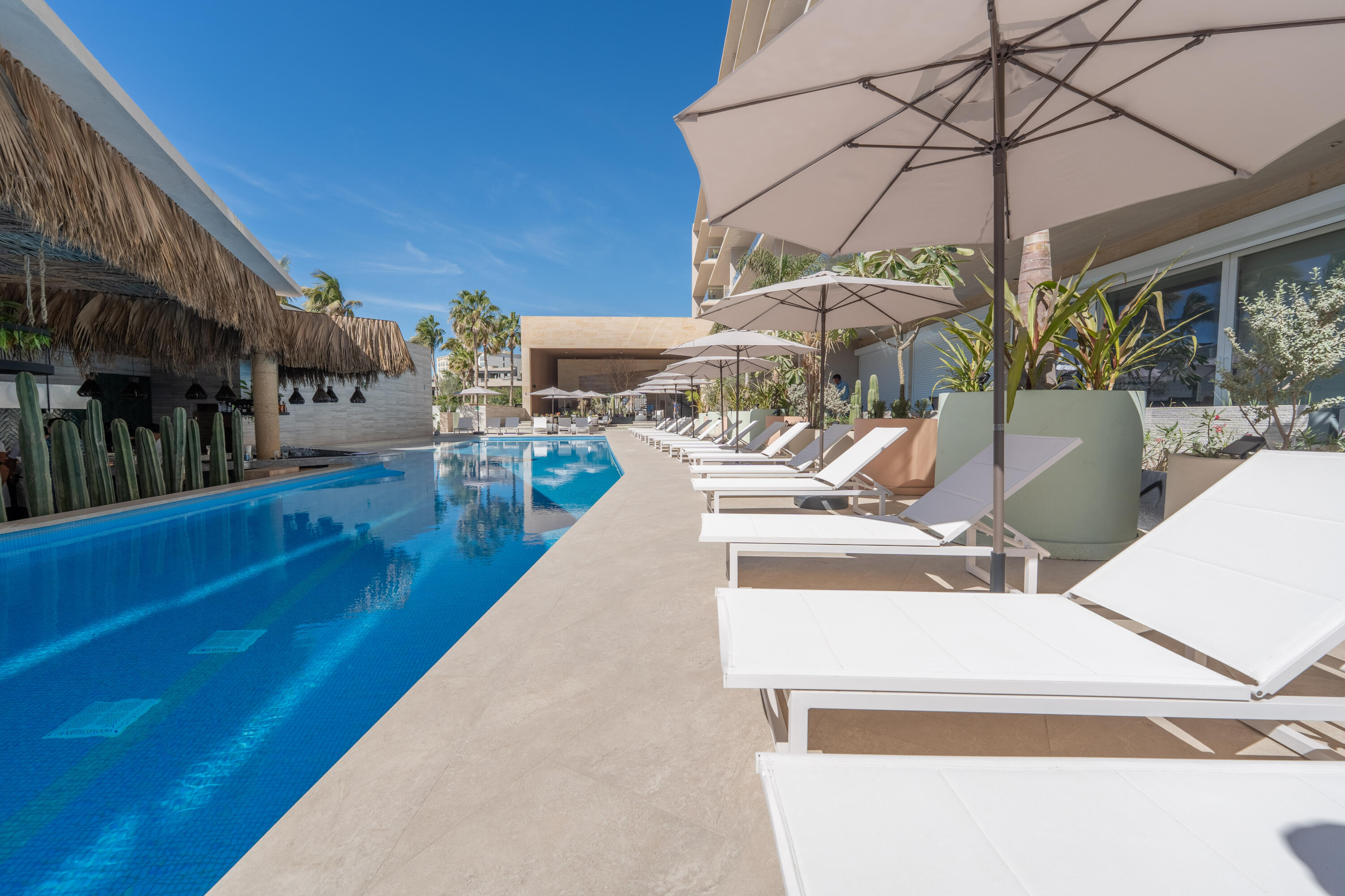Oceanfront Condo, Albaluz