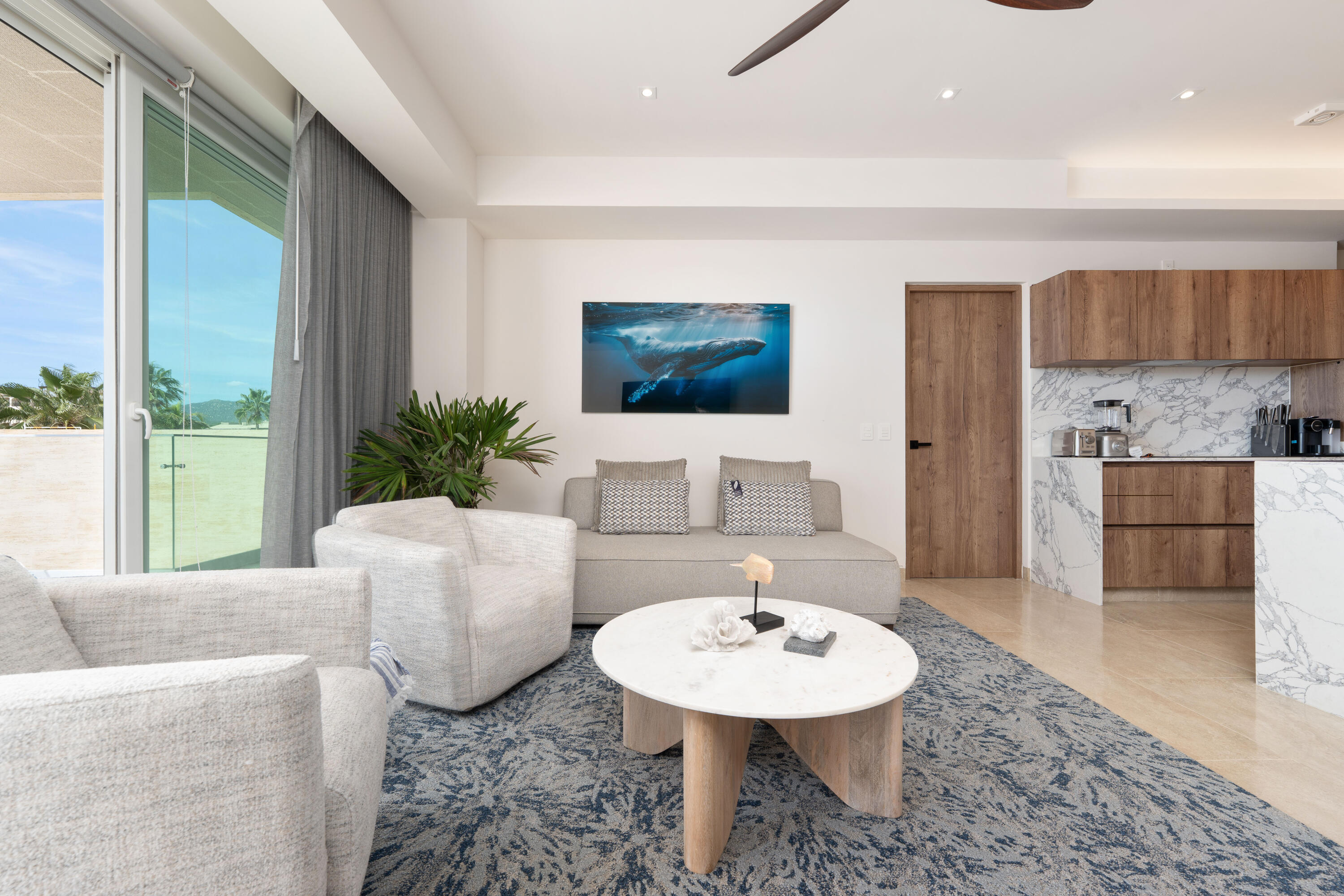 Oceanfront Condo, Albaluz