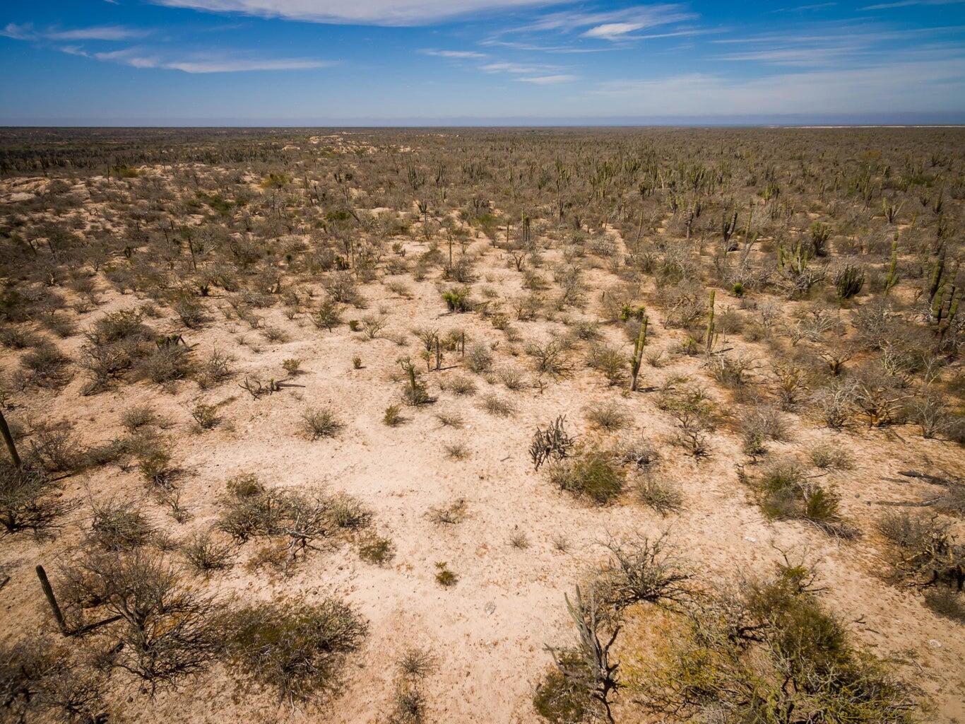 Rancho La Mora & Los Laureles