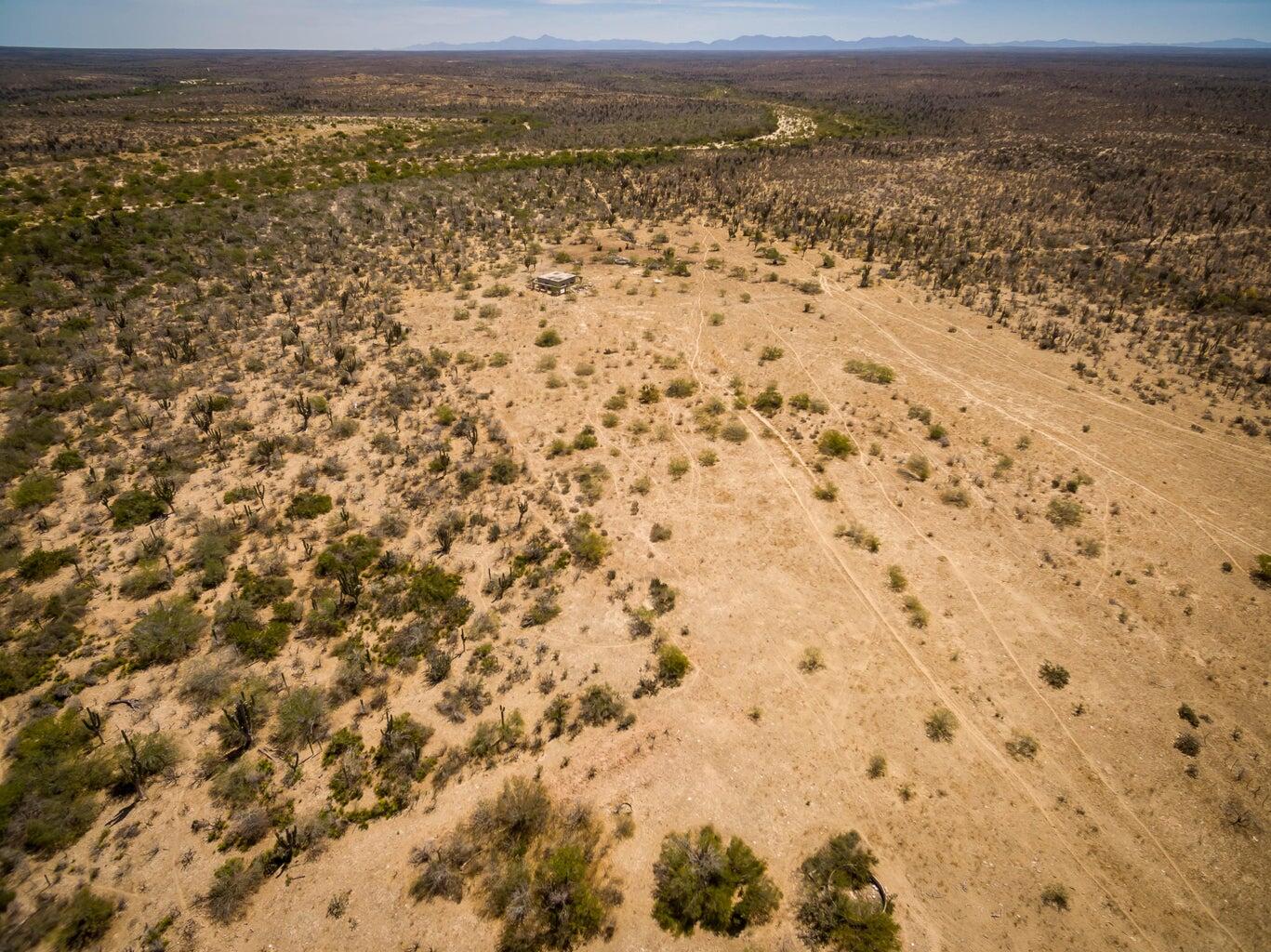 Rancho La Mora & Los Laureles