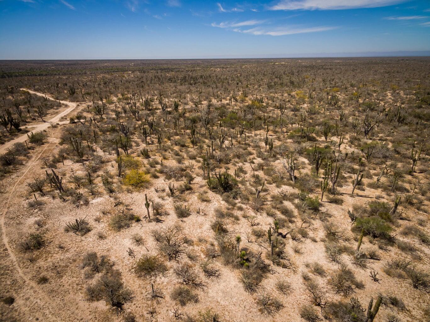 Rancho La Mora & Los Laureles