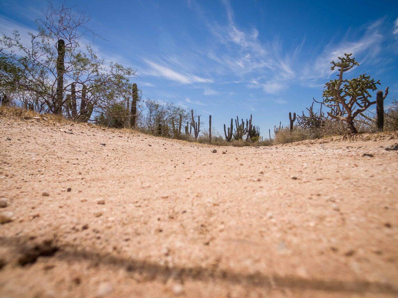 Rancho La Mora & Los Laureles