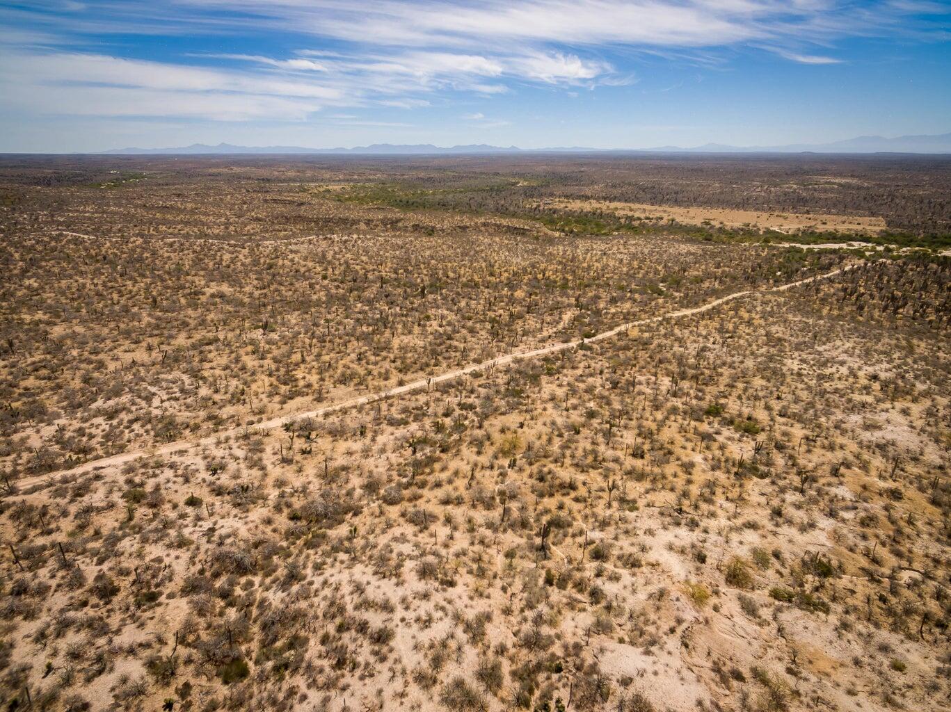 Rancho La Mora & Los Laureles