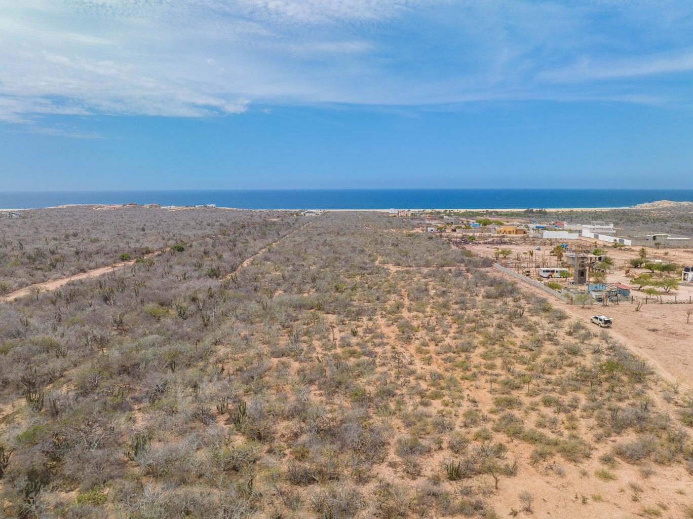 20, Playas Migrino Seller Fin