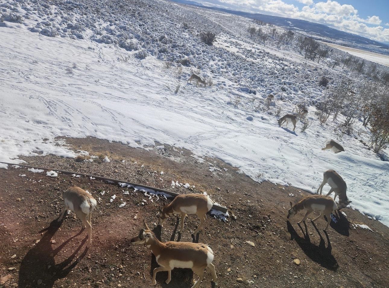 1937 Mill Creek Road