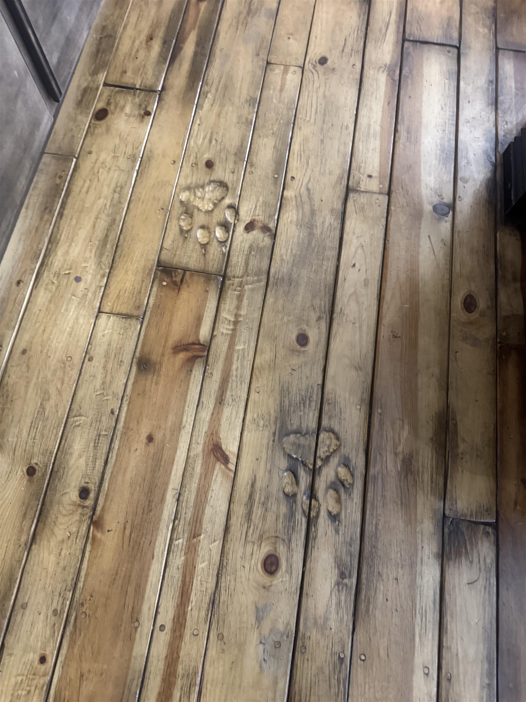 1937 Mill Creek Road