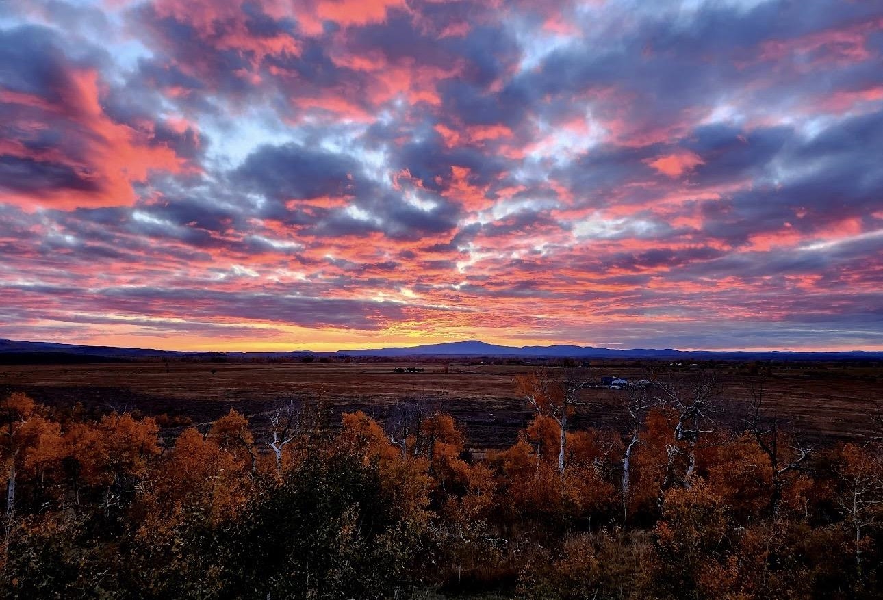 1937 Mill Creek Road