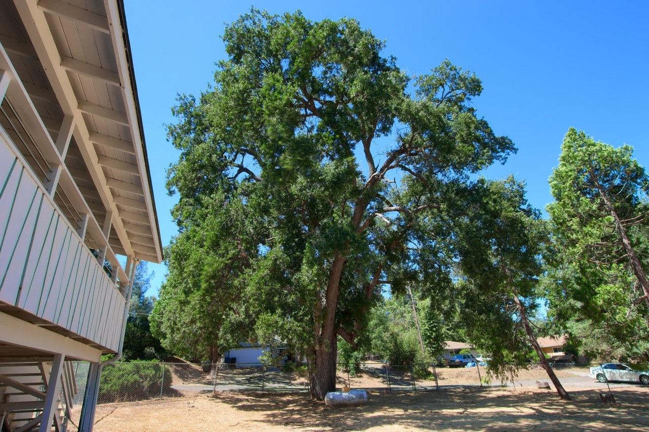 40888 Elliott Drive