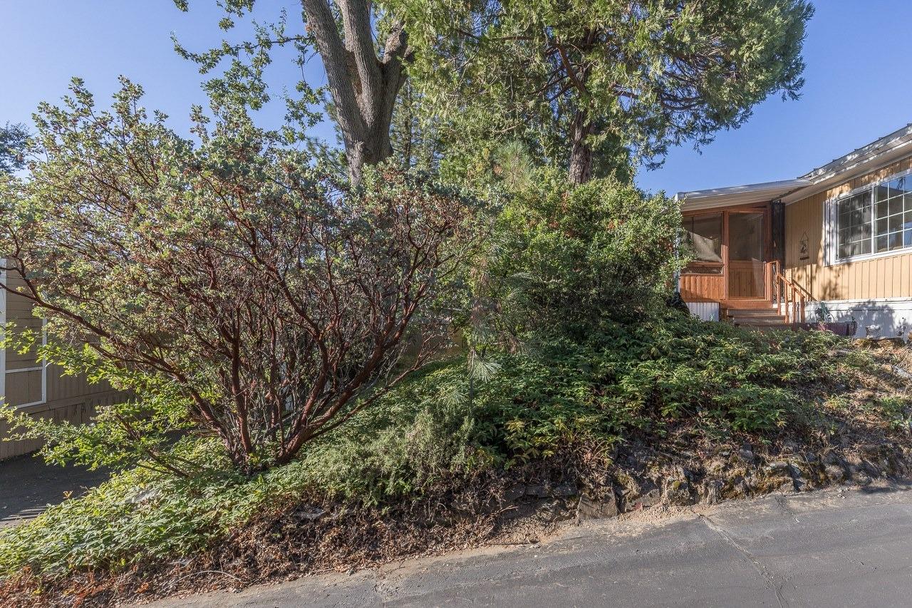 39678 Fresno Flats Road 425b # 40